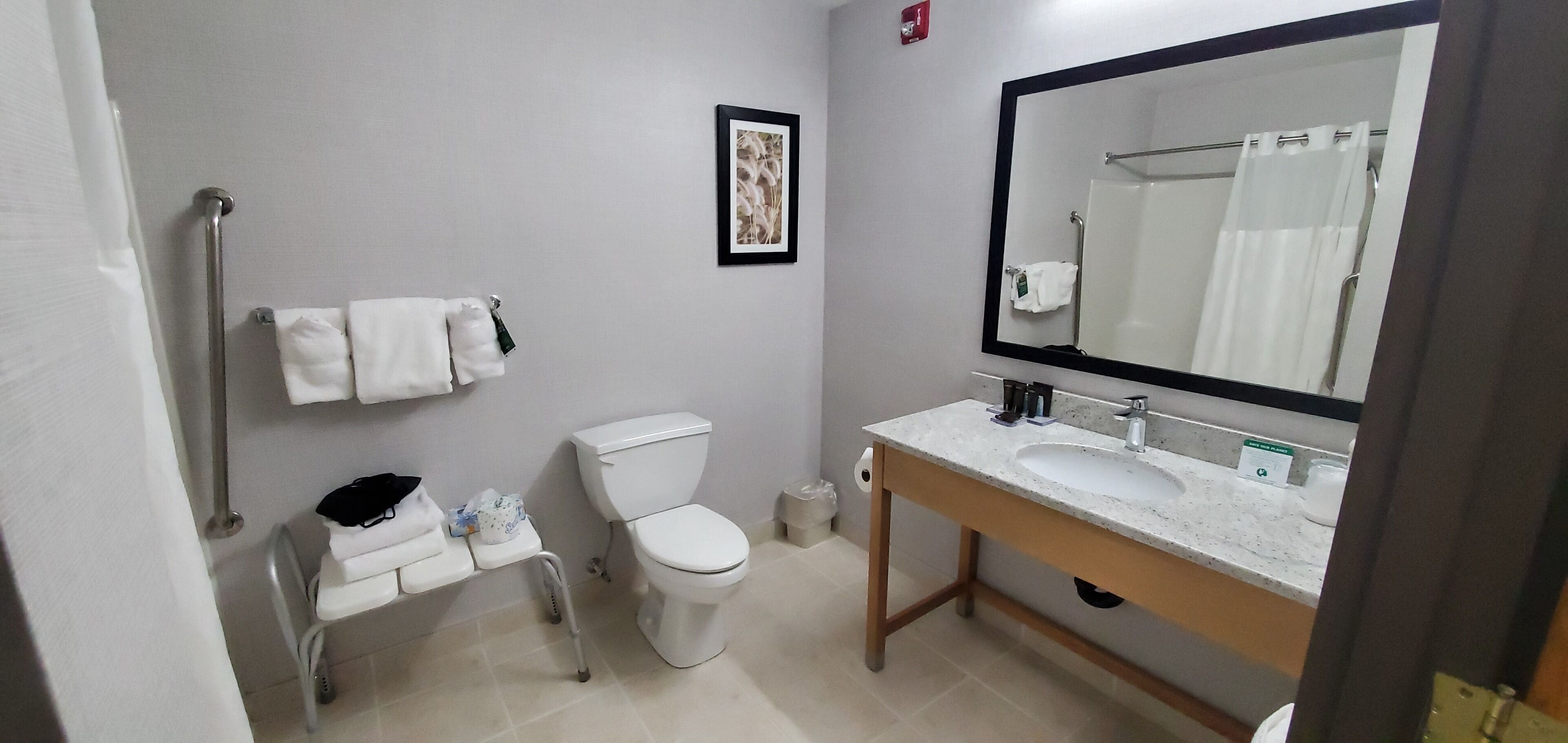 A bathroom with a toilet, sink, and a large mirror. There is a towel rack with towels, a framed picture on the wall, and a handrail.