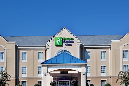 Holiday Inn Express & Suites Orangeburg by IHG