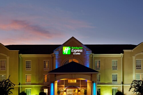 Holiday Inn Express & Suites Orangeburg by IHG