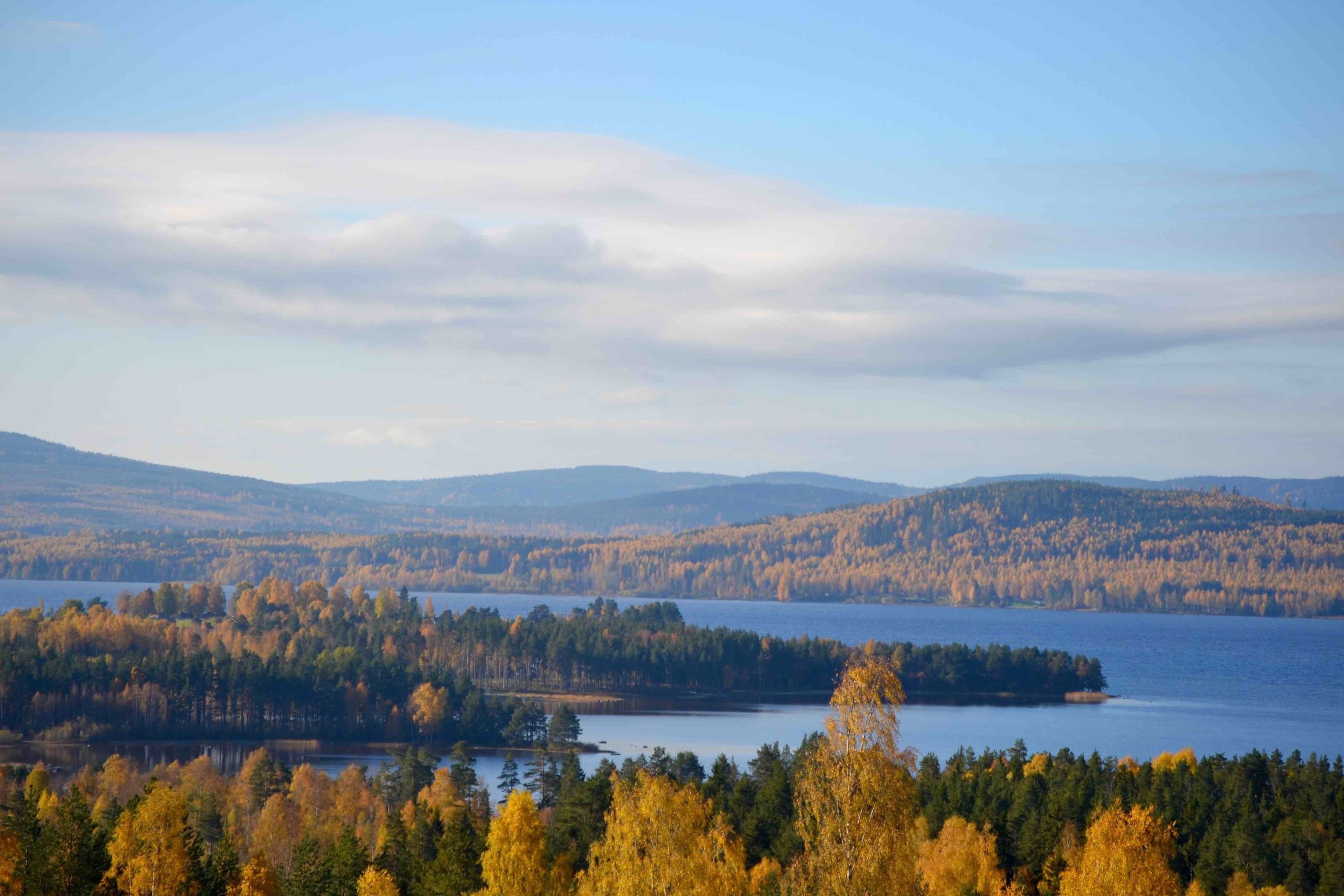 A lakeside view with forested hills and a clear sky.