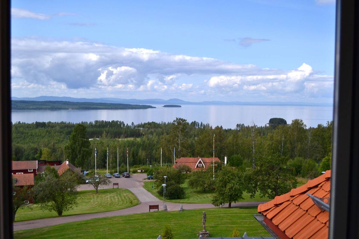 A view of a lakeside area with a red-roofed building, a statue, and a road leading to a parking area.