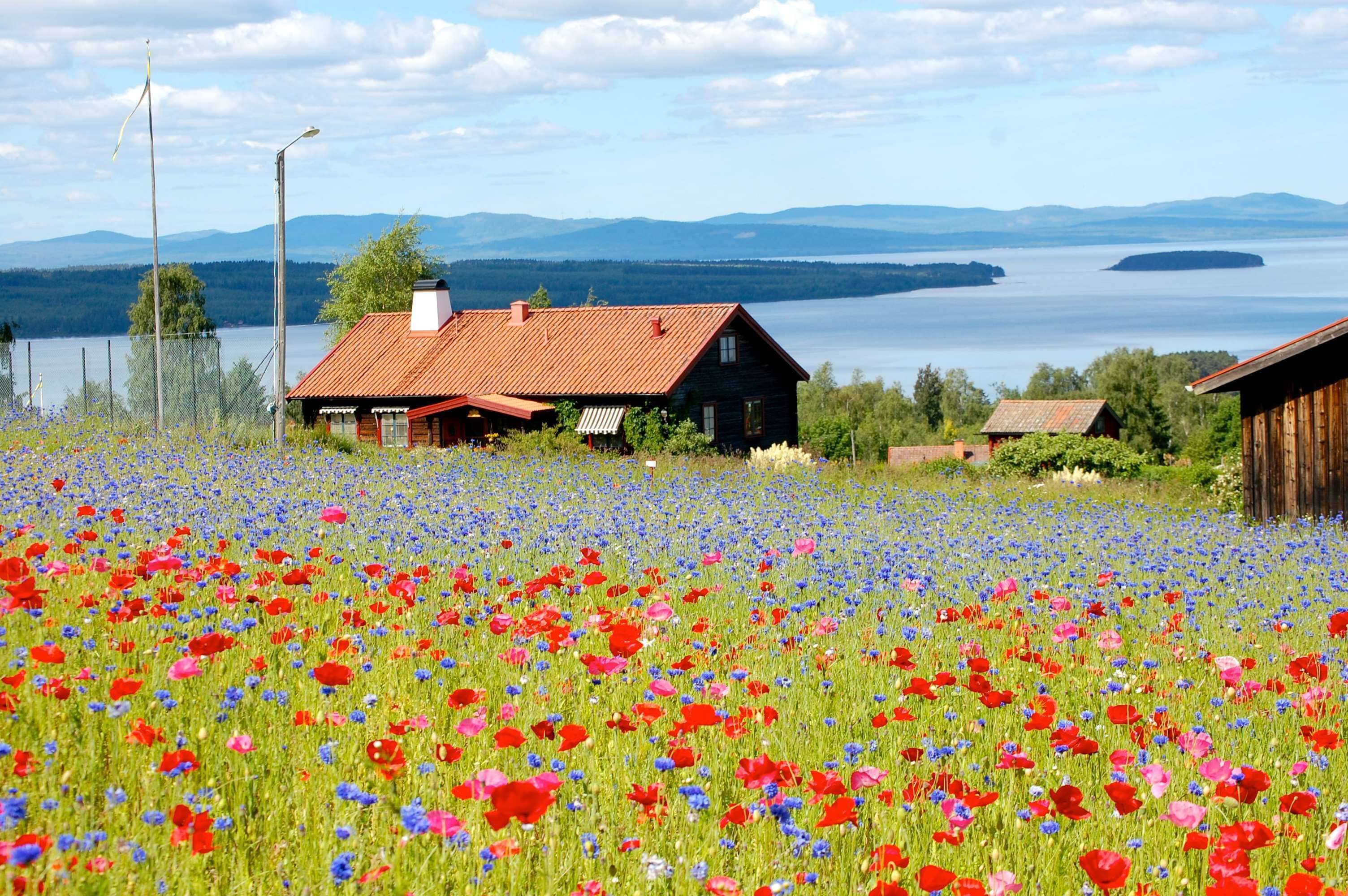 A house with a red roof and a view of a lake and mountains in the background.