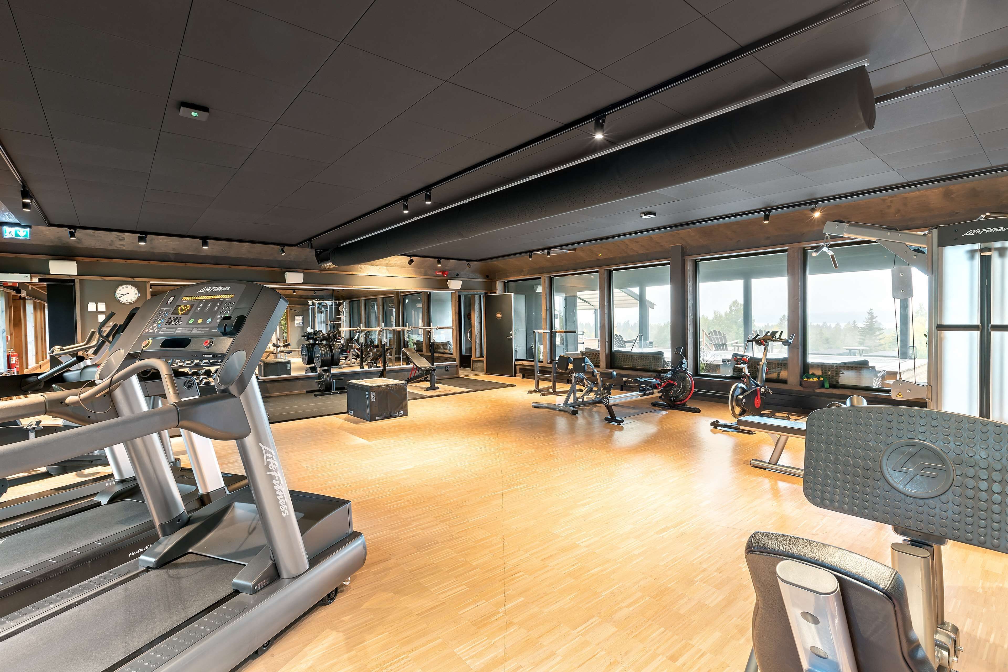 A gym with treadmills, weight machines, and a large window providing natural light.