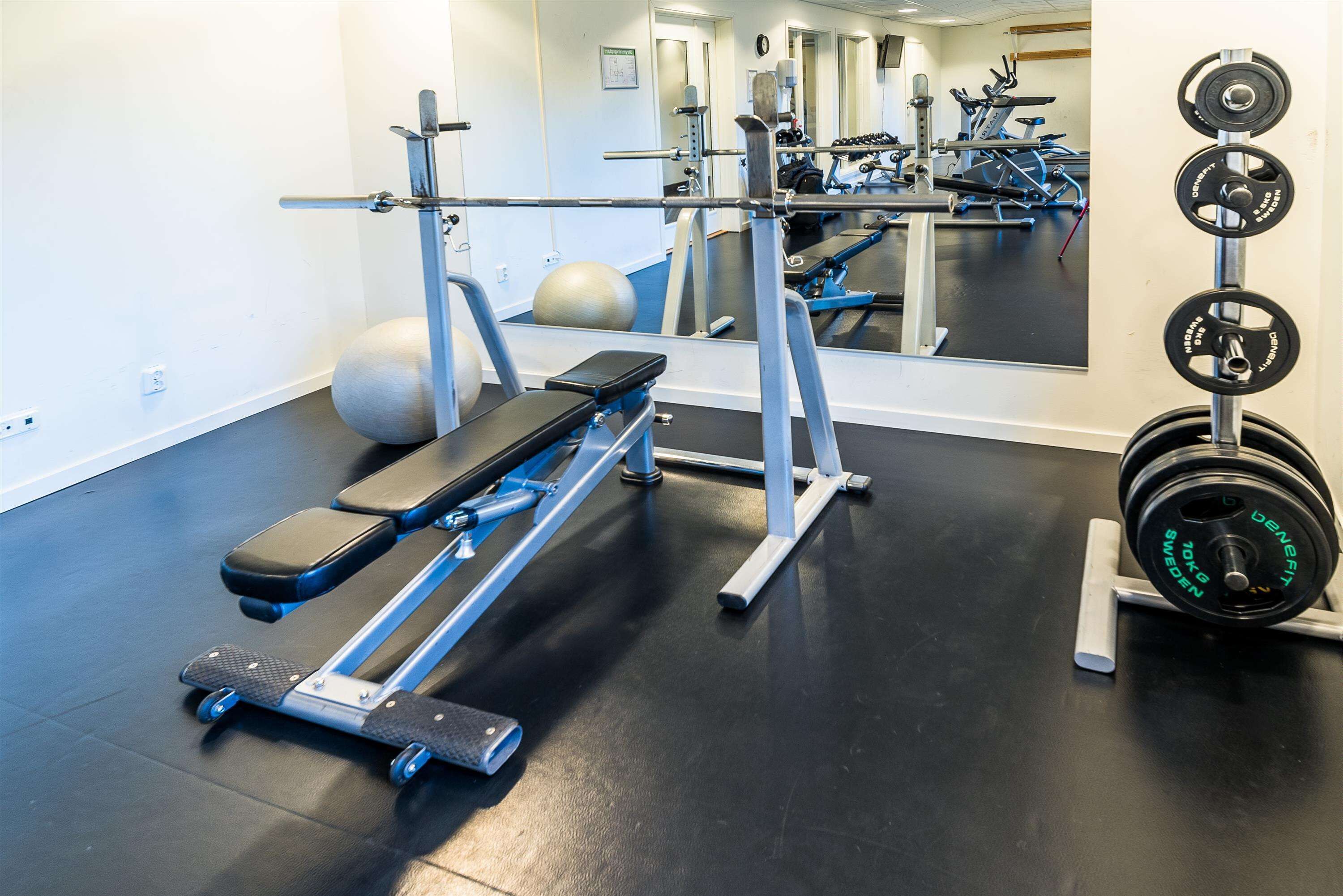 A gym with exercise equipment, a bench, a mirrored wall, and a weight rack.