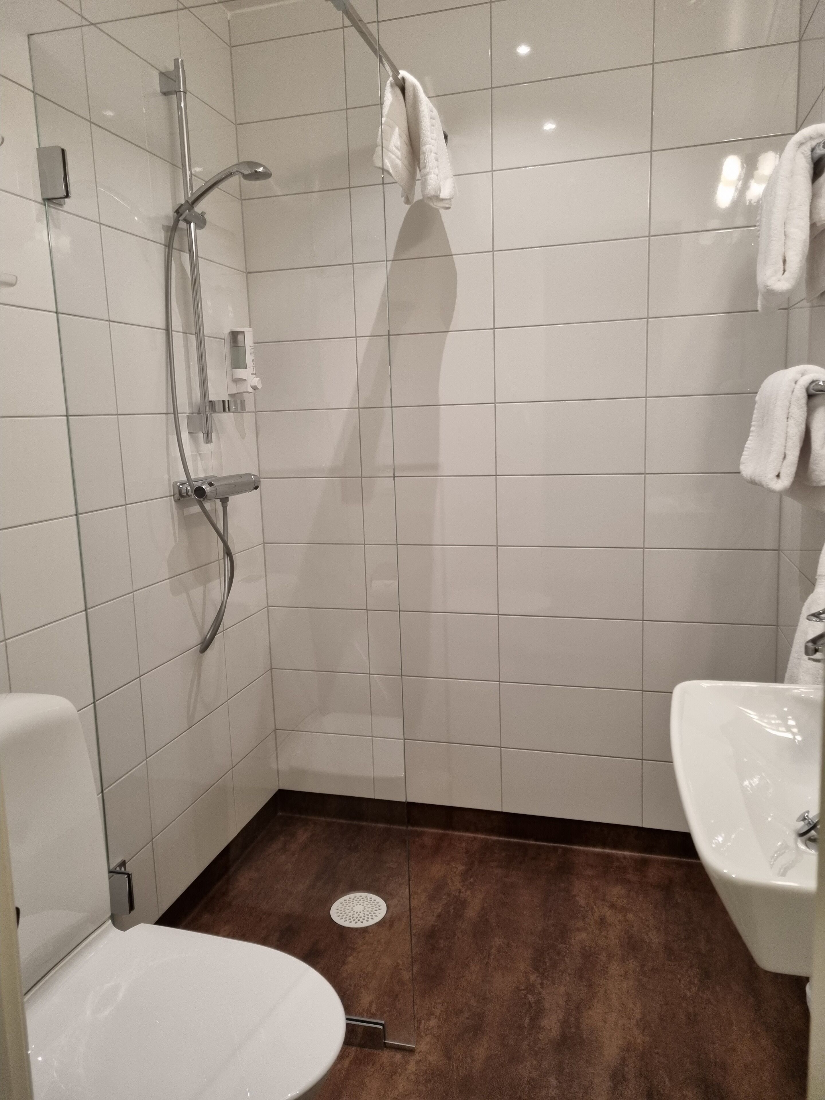 Une salle de bain avec douche, toilettes et lavabo.