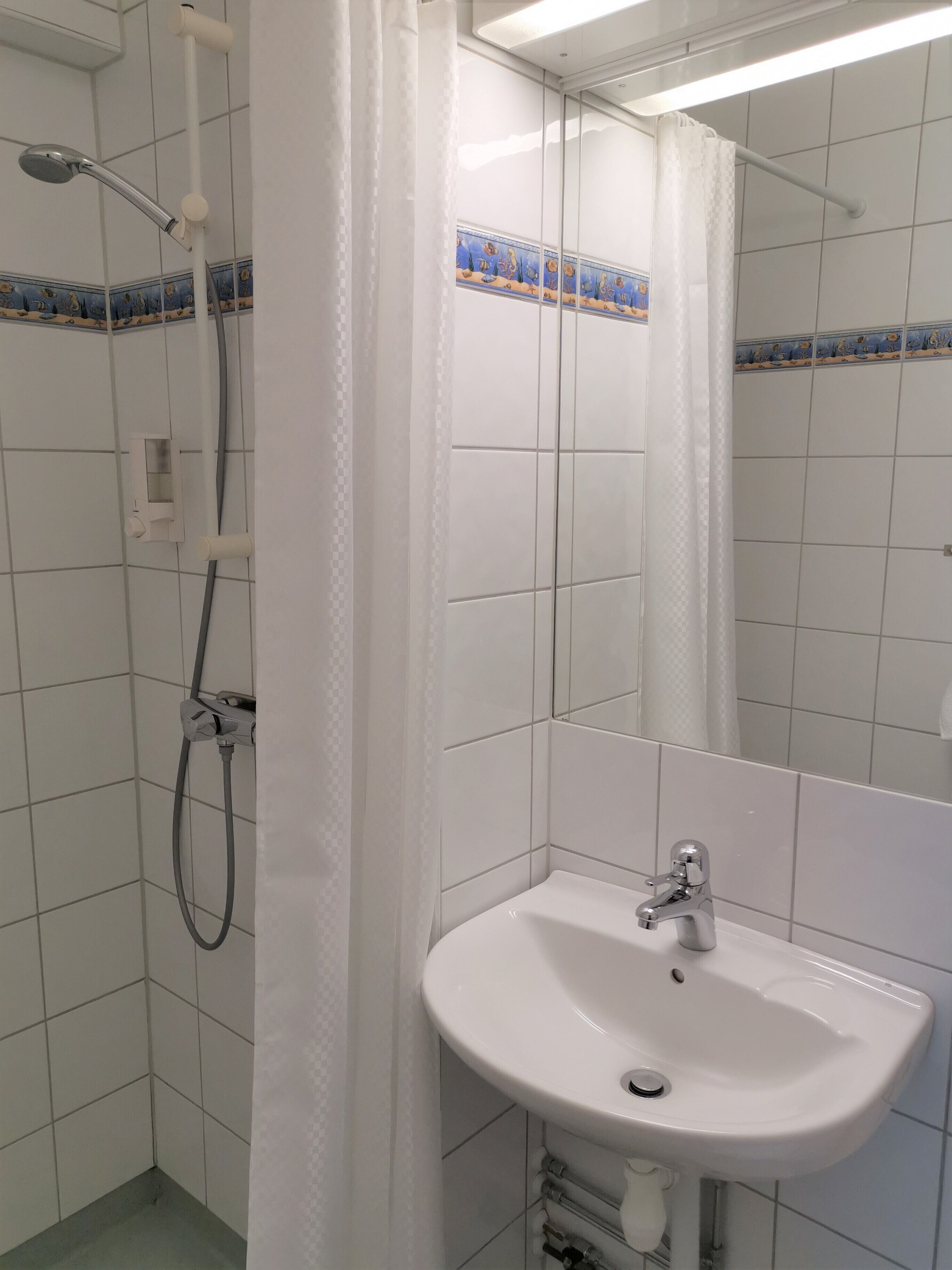Un baño con ducha, lavabo y espejo.