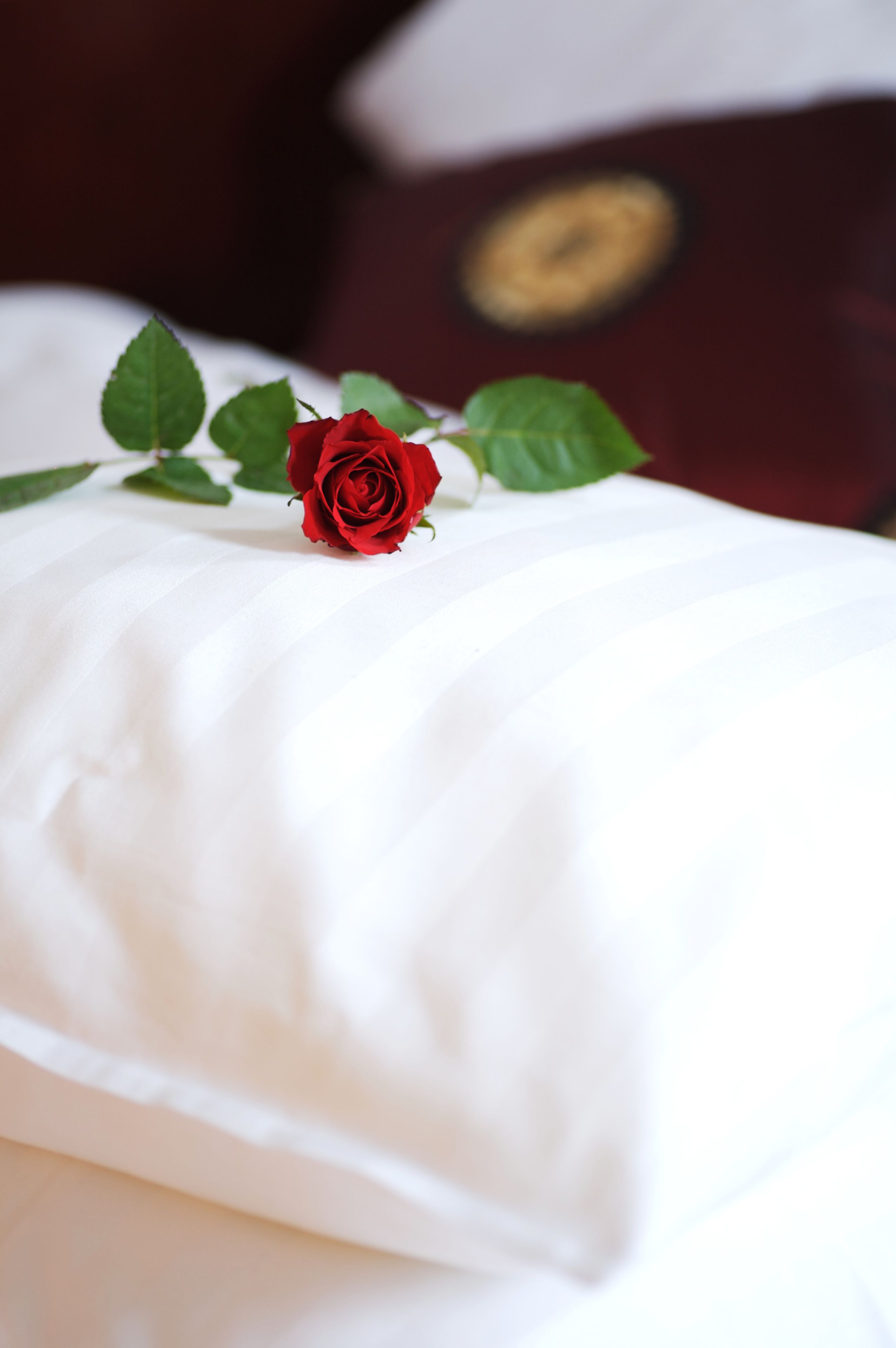 Foto - Best Western Tidbloms Hotel