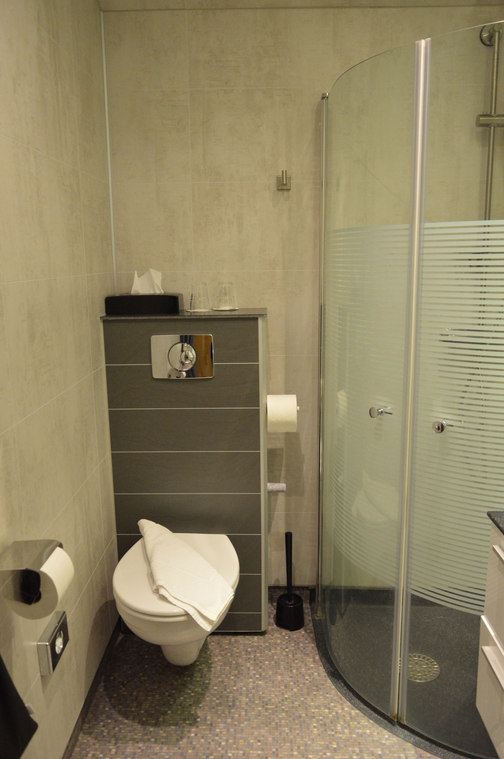 A bathroom with a toilet, a glass shower enclosure, and a towel rack.