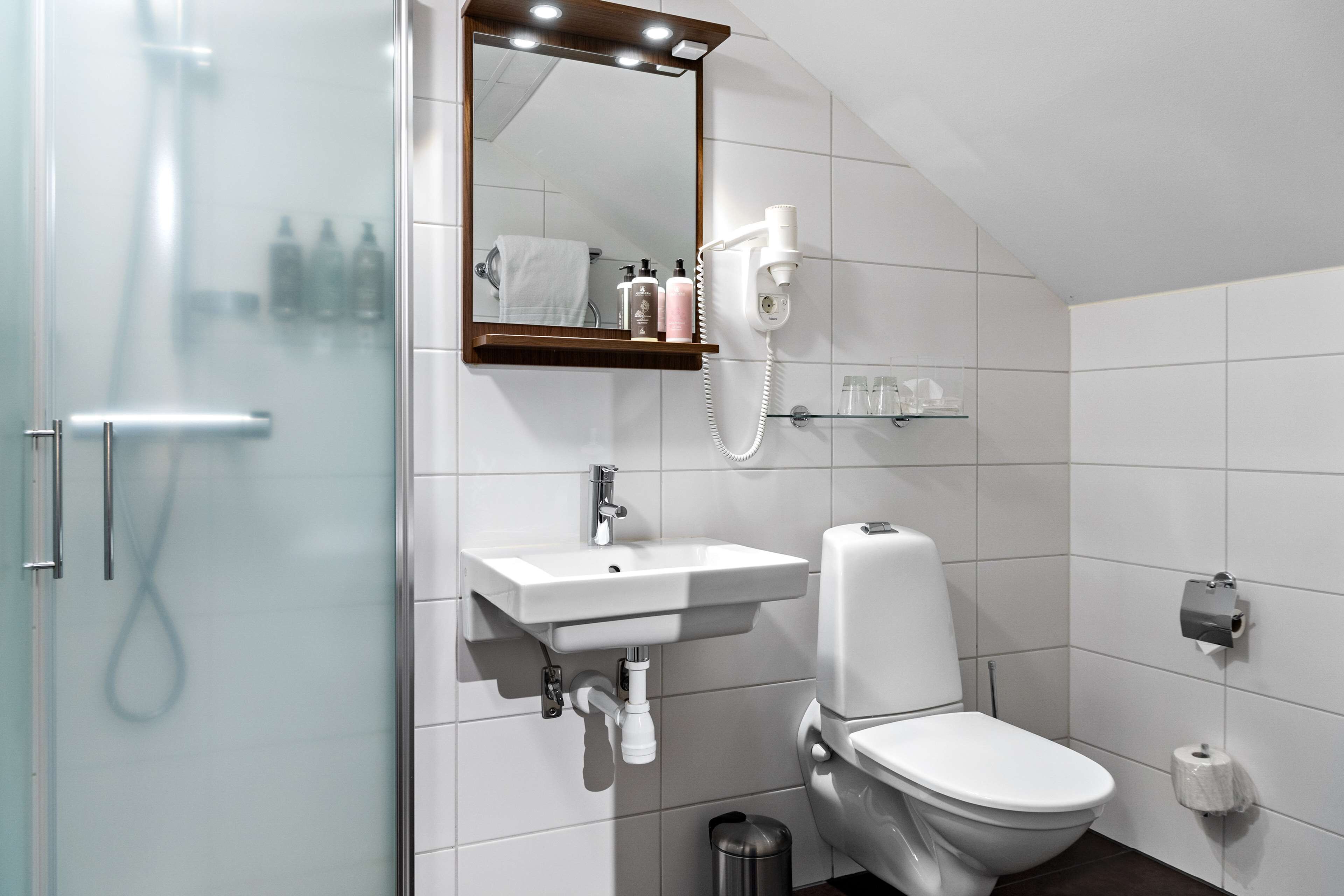 standard room, 1 double bed, non smoking | bathroom | shower, free toiletries, hair dryer, towels