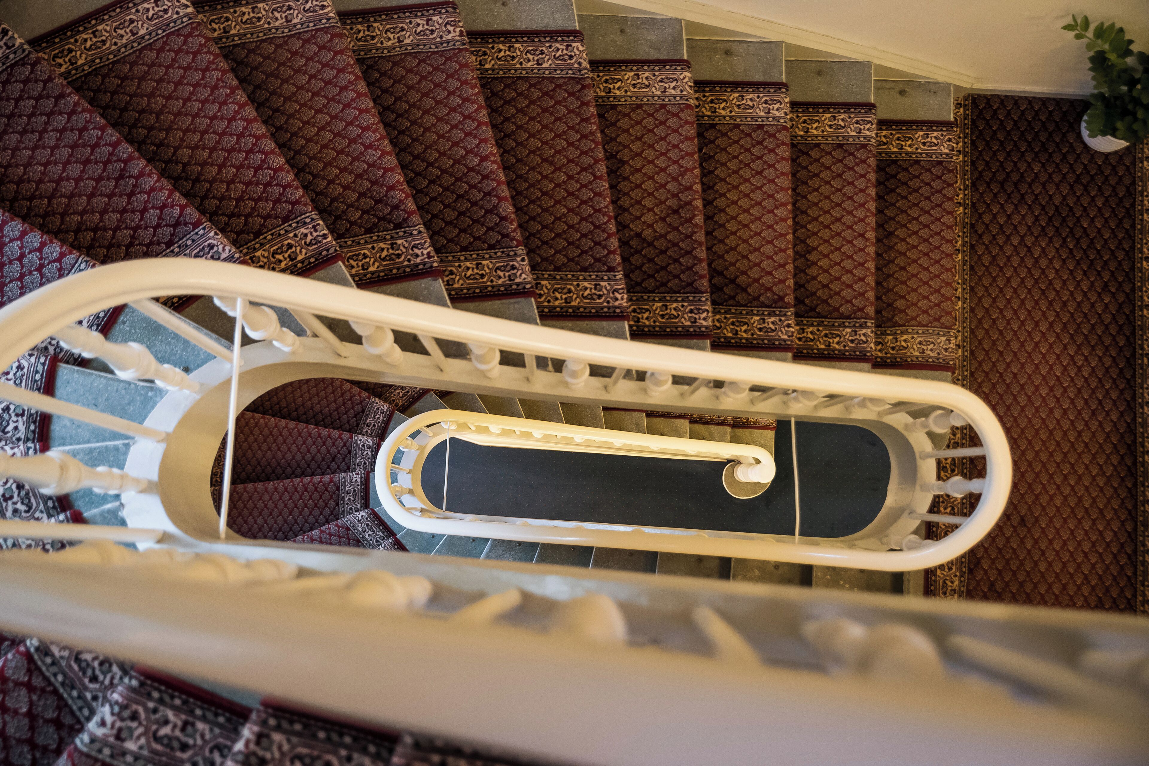 A spiral staircase with ornate carpeted steps and a white handrail.