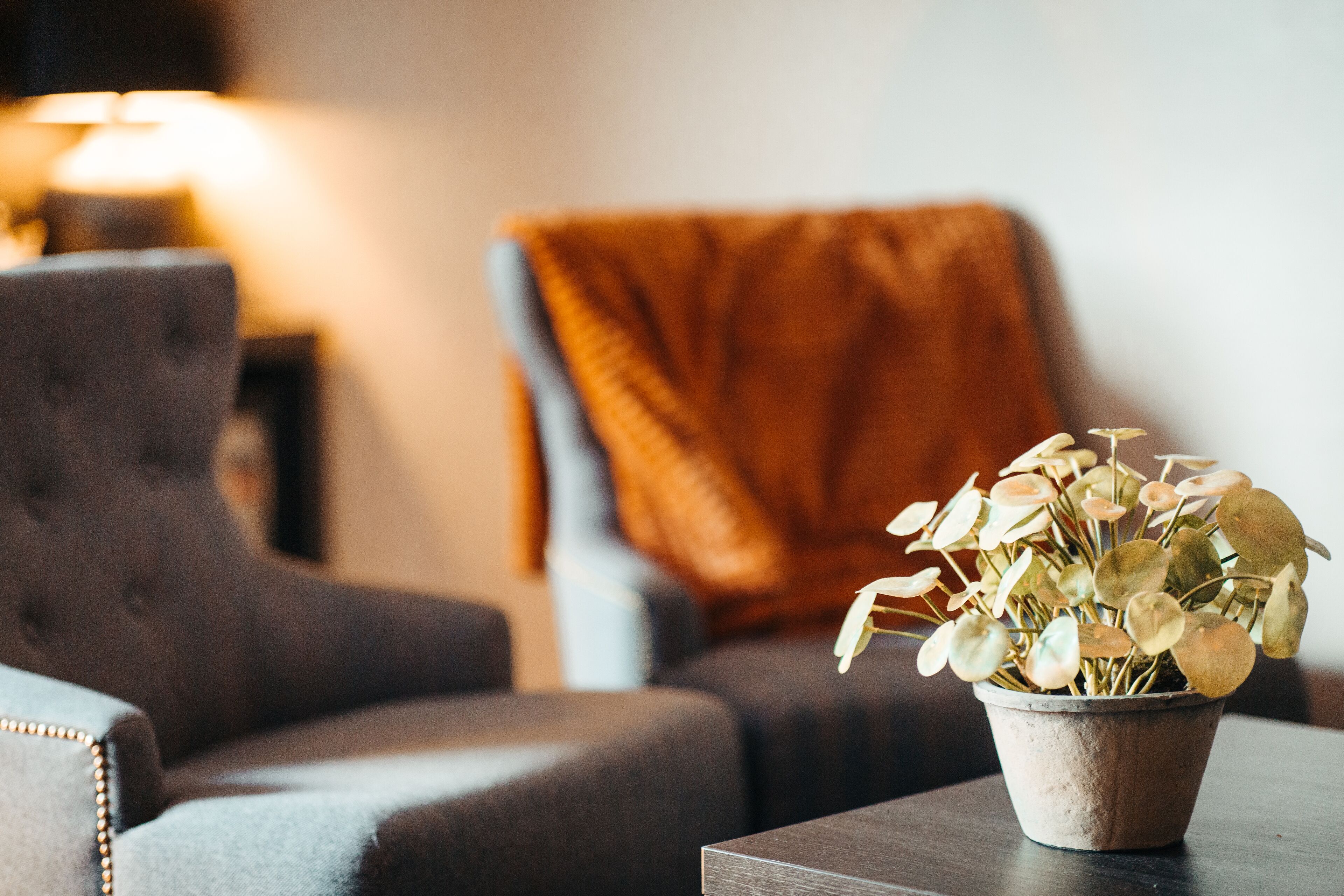 junior studio suite | 1 bedroom, minibar, desk, iron/ironing board