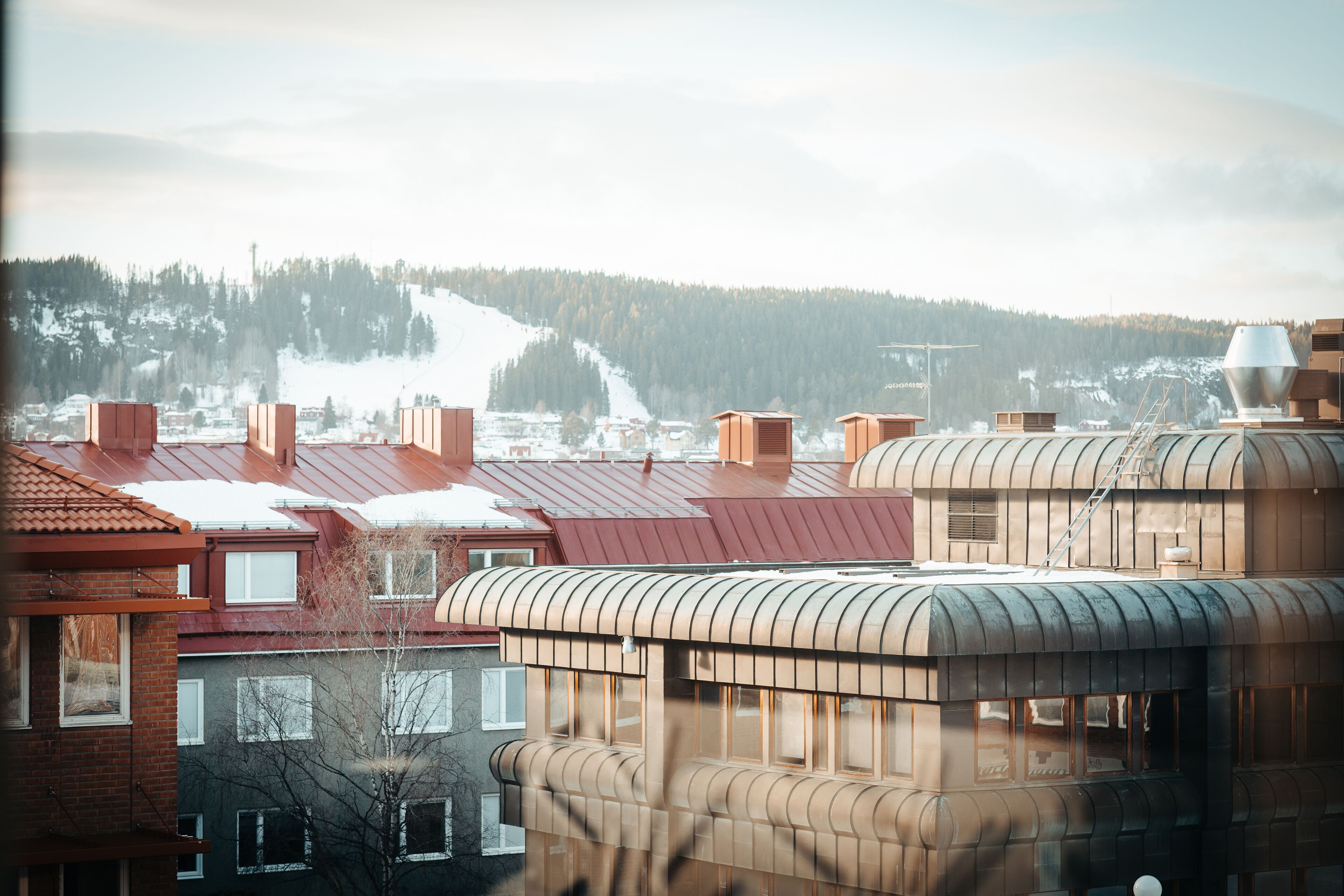 A multi-story building with a red roof, large windows, and a view of a snowy mountain.