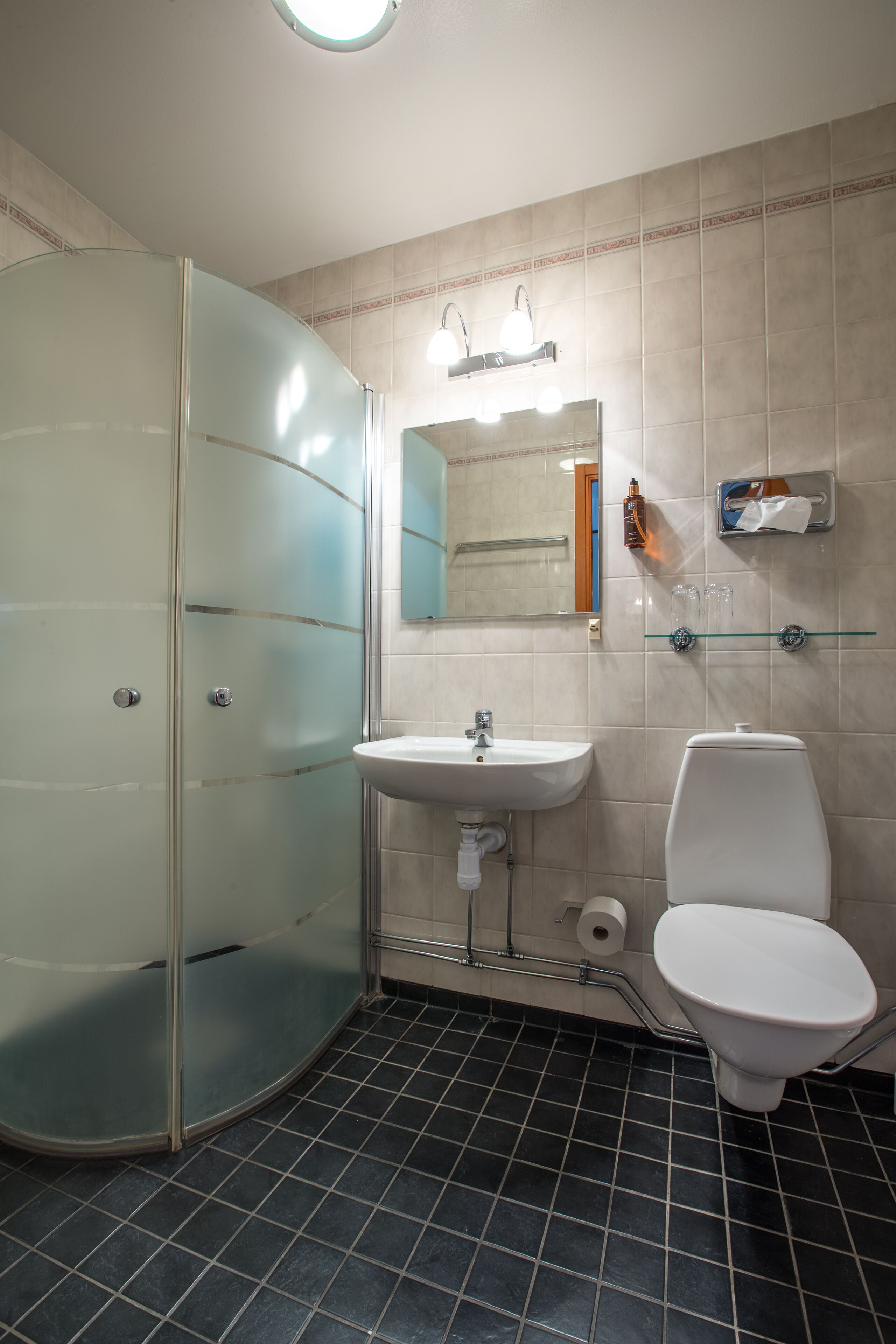 A bathroom with a glass shower enclosure, a sink, a toilet, and a mirror.