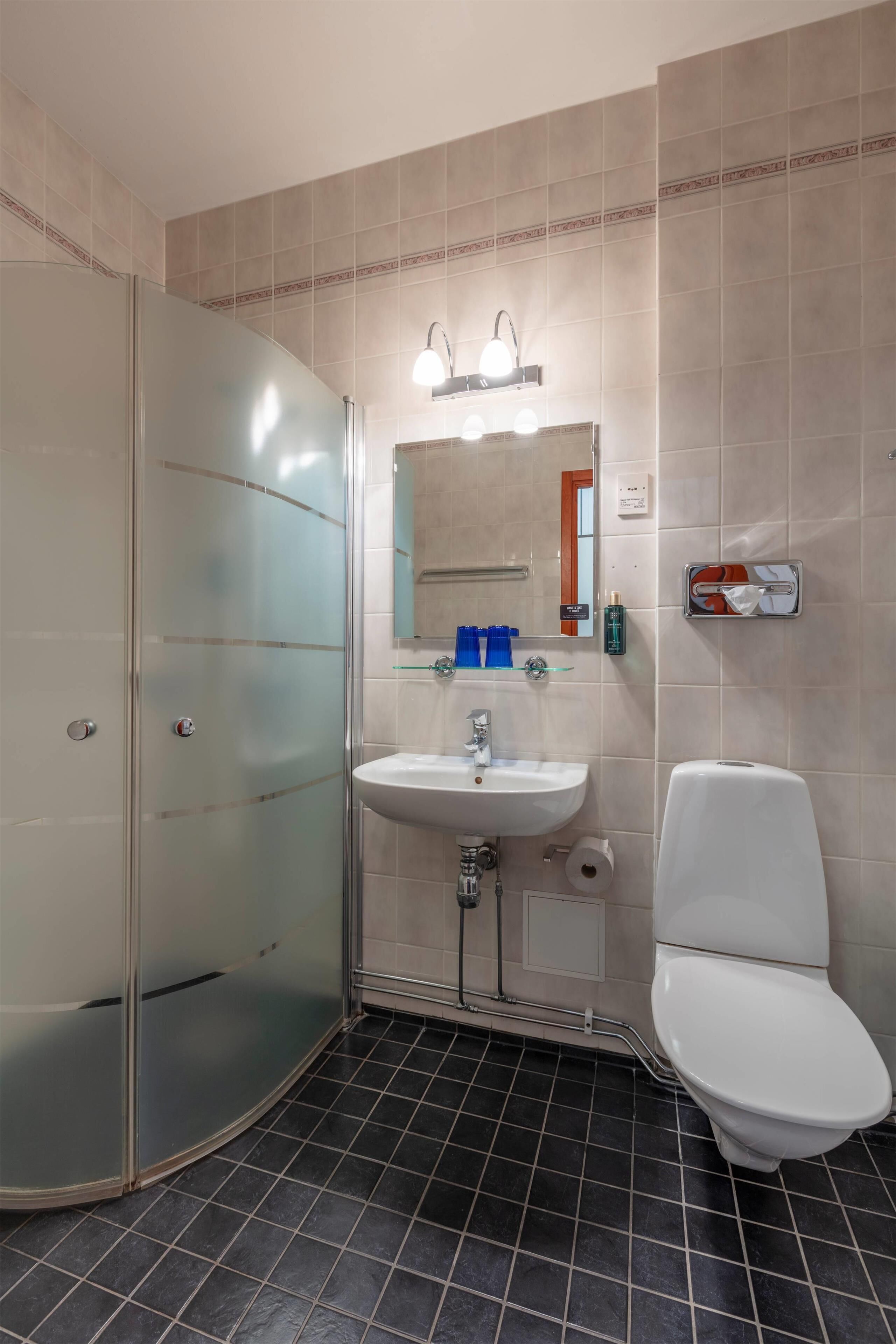 A bathroom with a glass shower enclosure, a sink, a toilet, and a mirror above the sink.