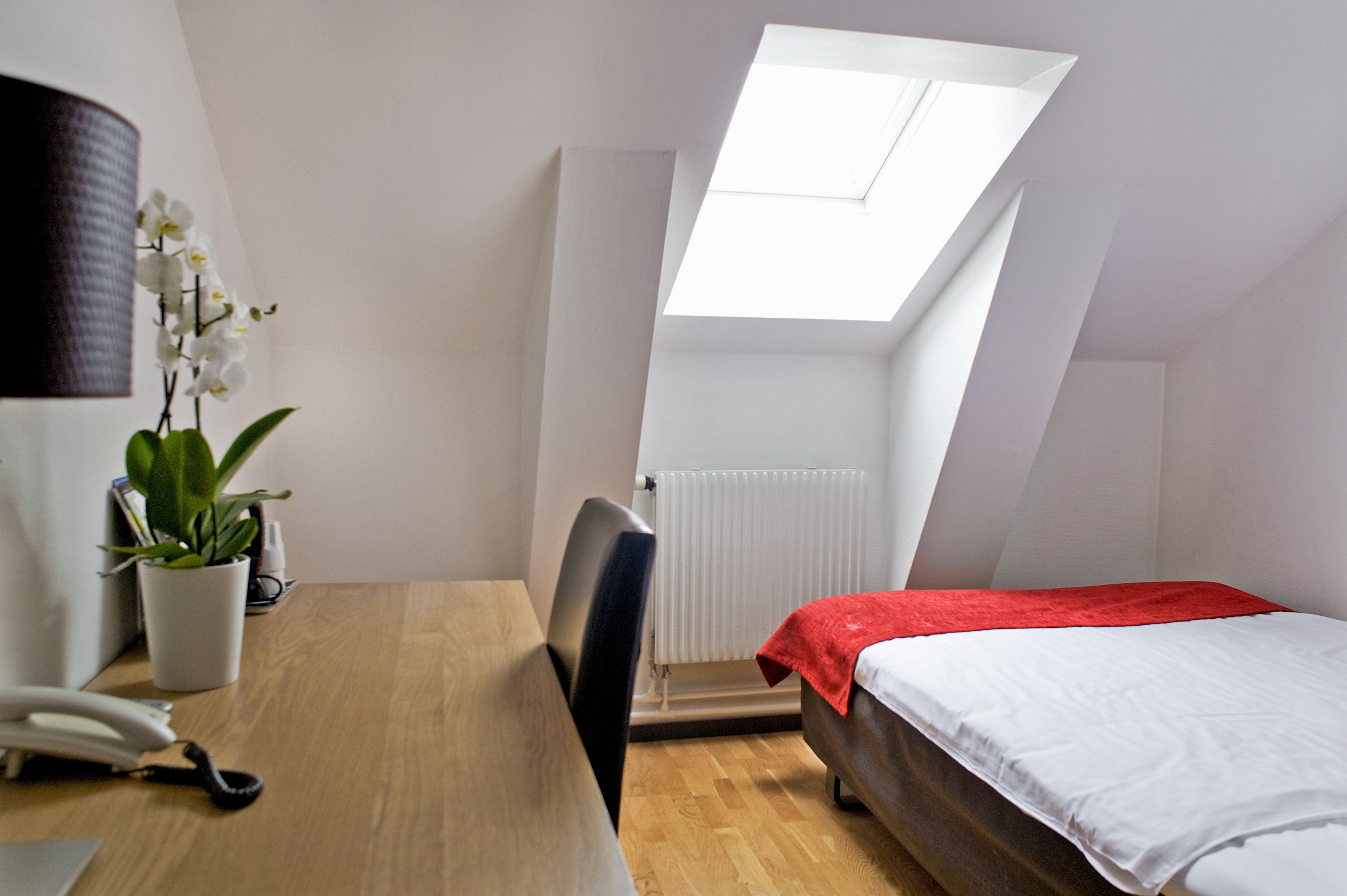 A compact room with a skylight, a bed, a desk with a chair, a potted plant, and a radiator.