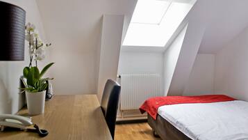 A compact room with a skylight, a bed, a desk with a chair, a potted plant, and a radiator.