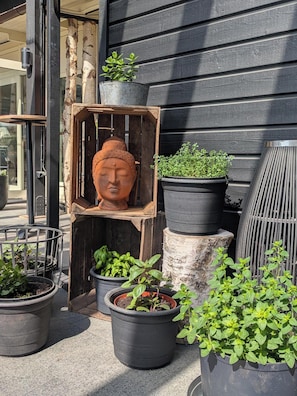 A variety of potted plants arranged outside a building with a wooden facade. - Aurum Hotel (Skelleftea)