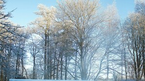 A hot tub surrounded by snow-covered trees and a clear sky. - Ronnums Herrgård - Collection by Ligula (Vargon)