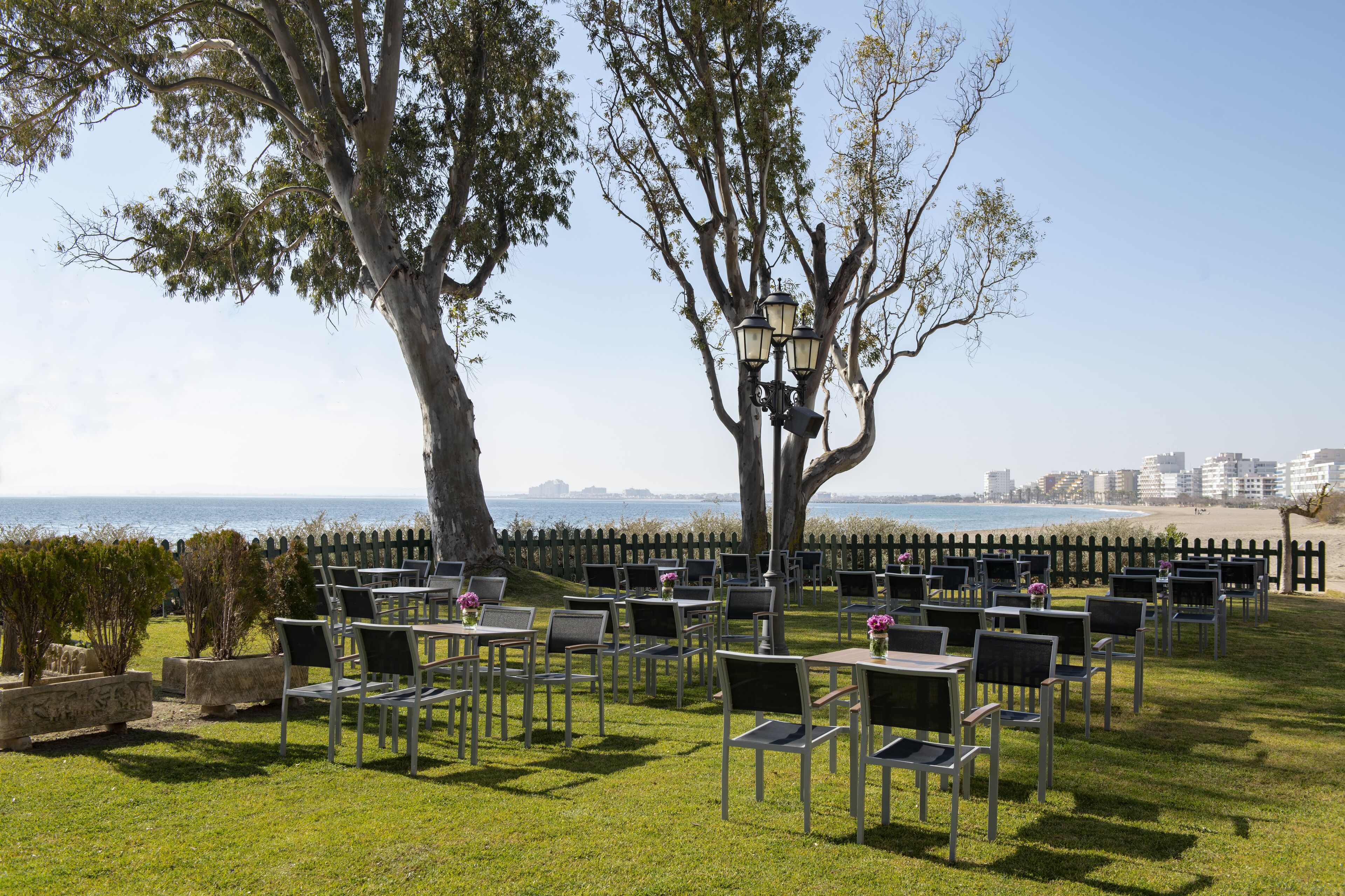 An outdoor seating area with tables and chairs arranged under trees, overlooking a beach and ocean.