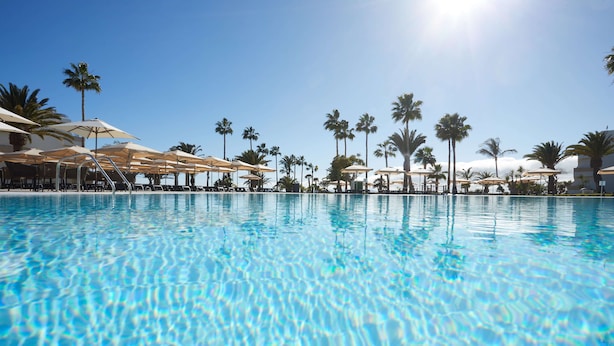 A clear blue pool with lounge chairs and umbrellas, surrounded by palm trees.