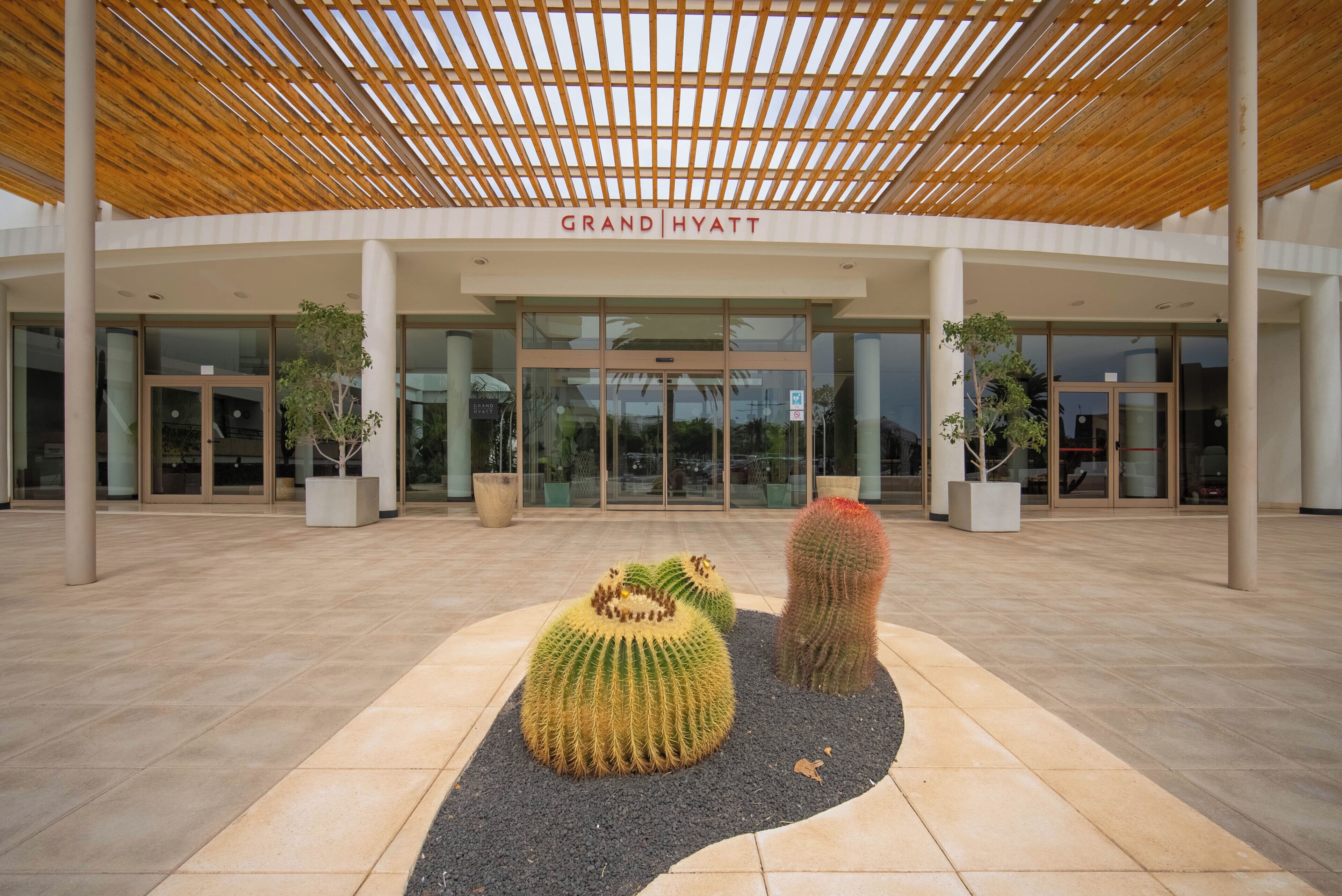 A Grand Hyatt hotel entrance with a modern design, featuring a wooden slatted roof and a cactus garden in the foreground.