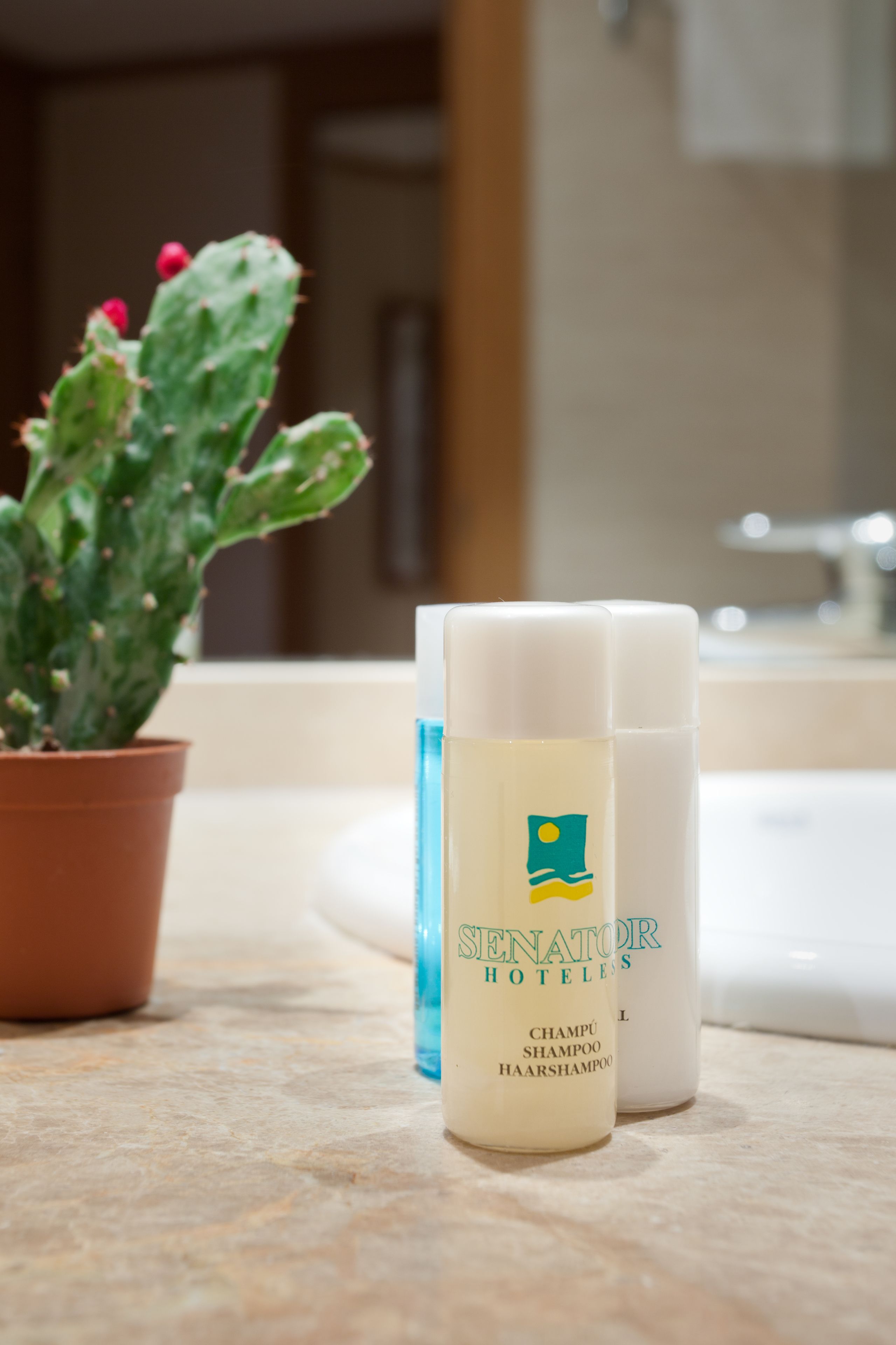 combined shower/bathtub, eco-friendly toiletries, hair dryer, towels