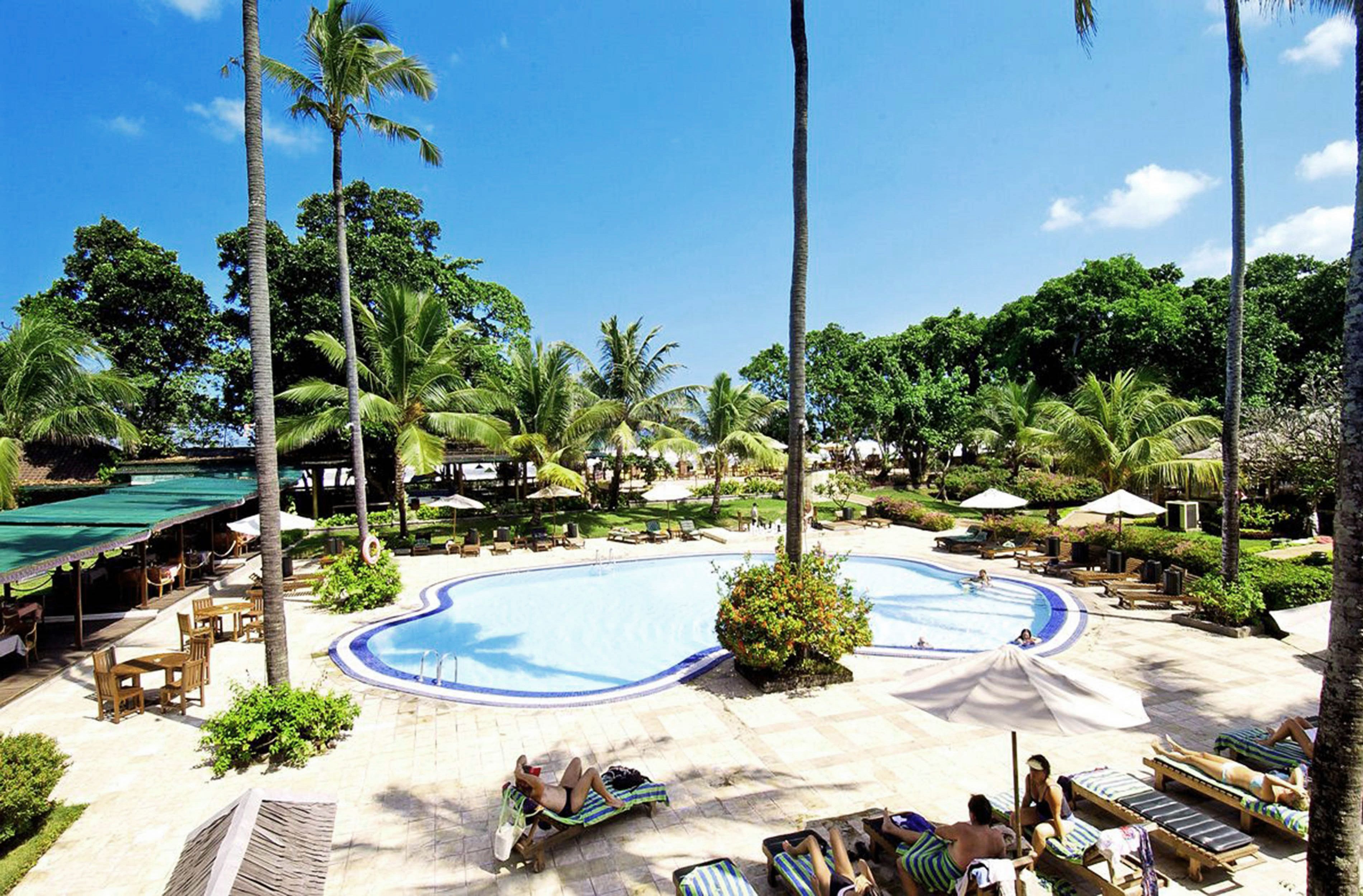 A resort pool area with lounge chairs and palm trees.