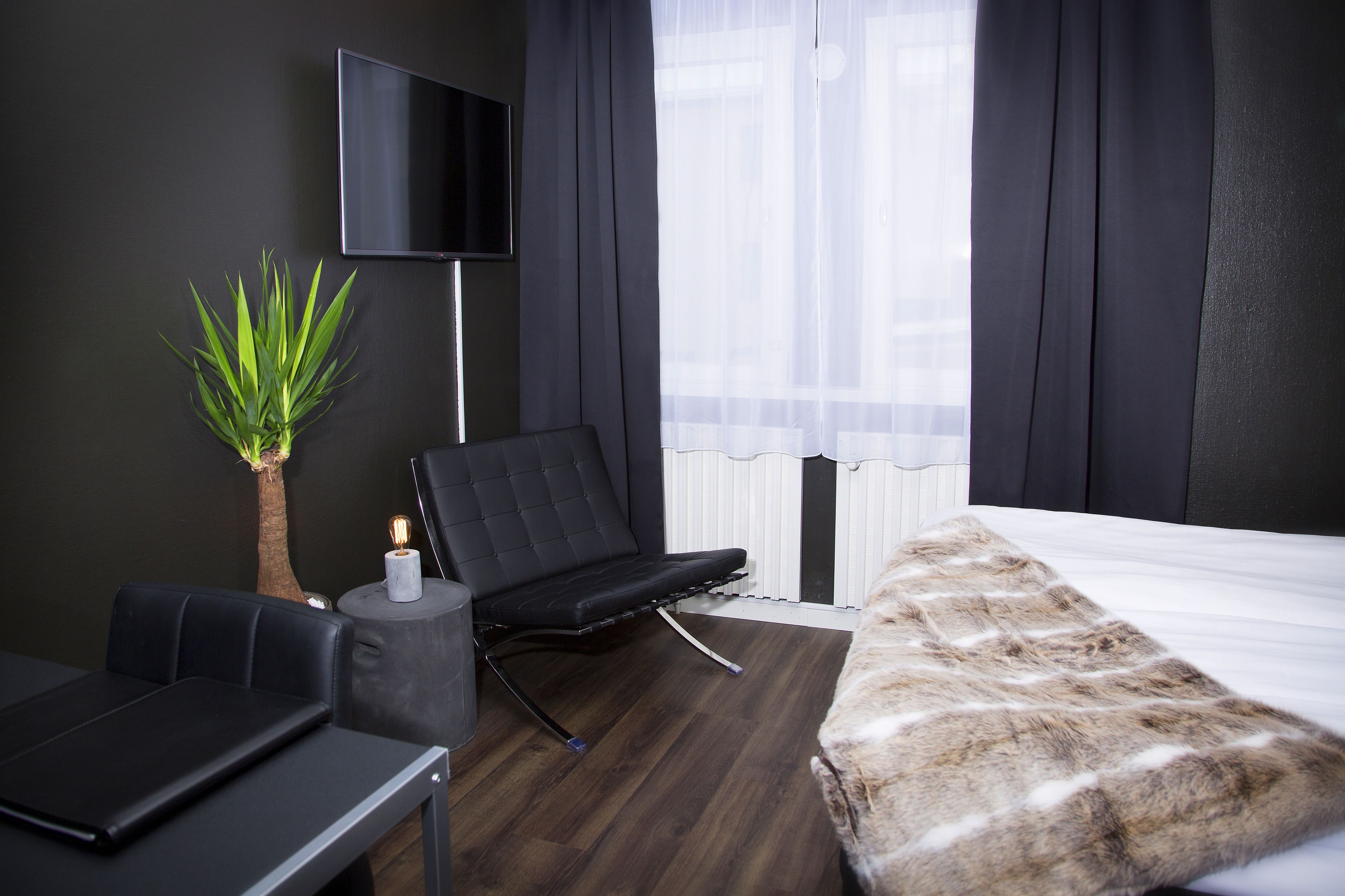 A modern hotel room with a flat-screen TV, a sofa, a small table, a plant, and a large bed with a furry throw.