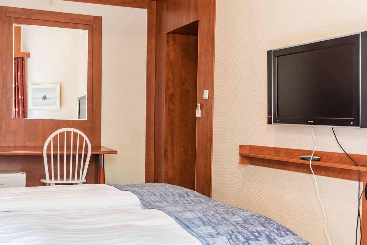 Habitación con 2 camas individuales, vista al jardín | Ropa de cama hipoalergénica, edredón y escritorio