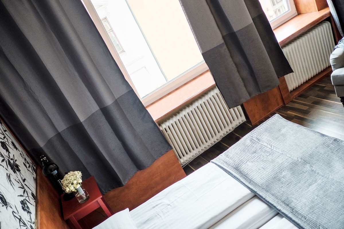 Habitación estándar con 2 camas individuales | Ropa de cama hipoalergénica, edredón y escritorio