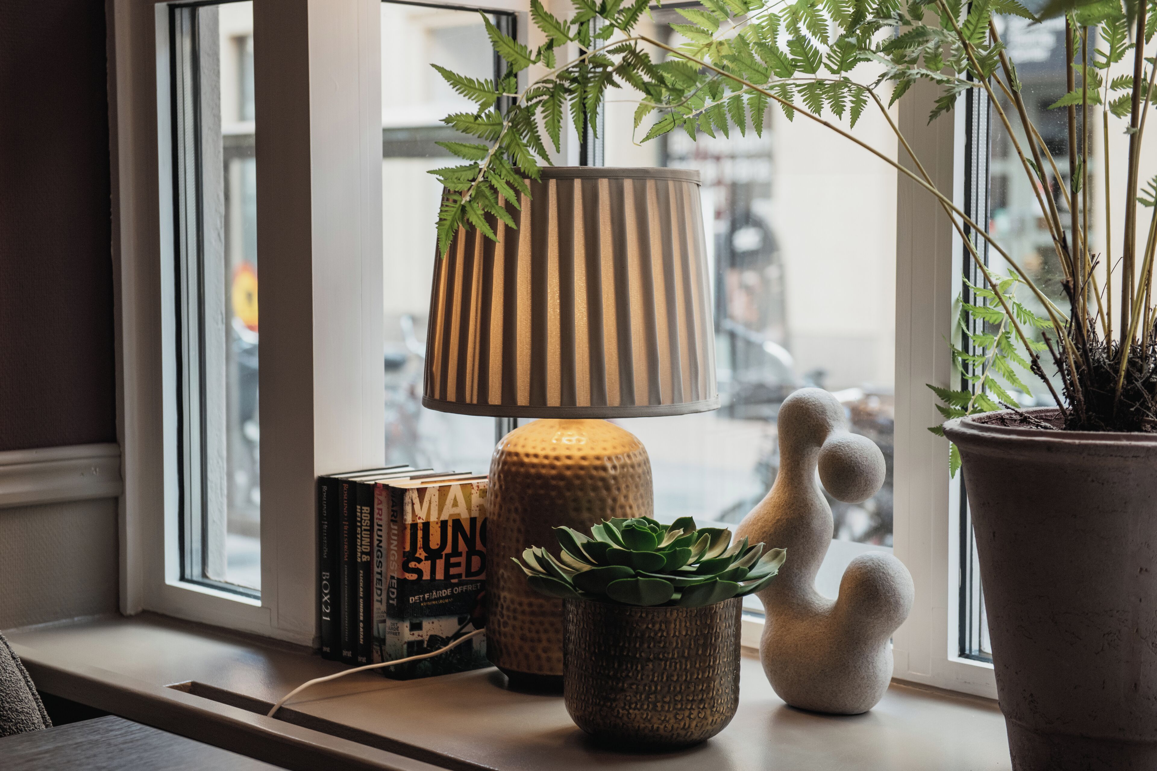 A window sill with a lamp, books, a succulent plant, and a potted plant.