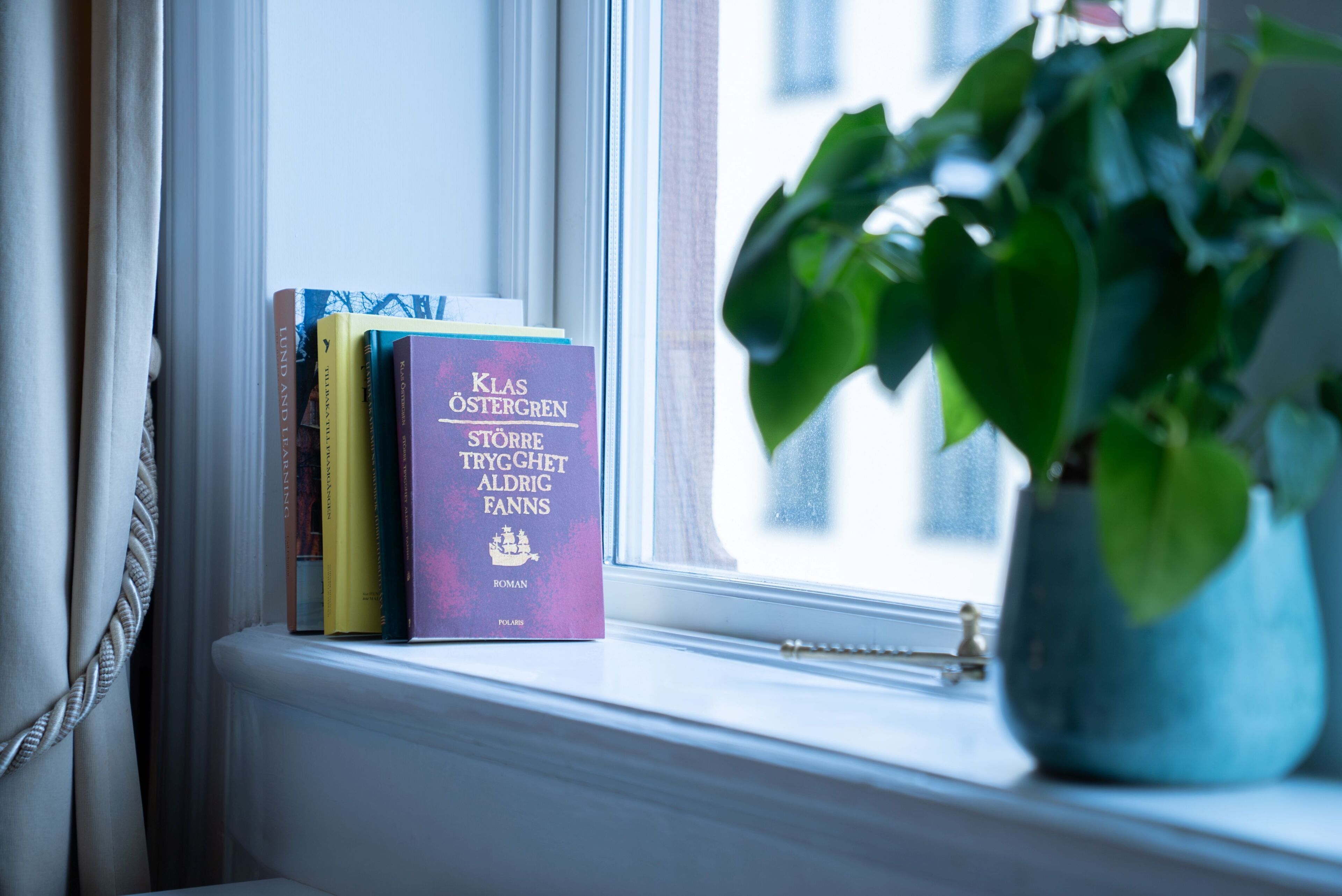 A window sill with books and a potted plant.