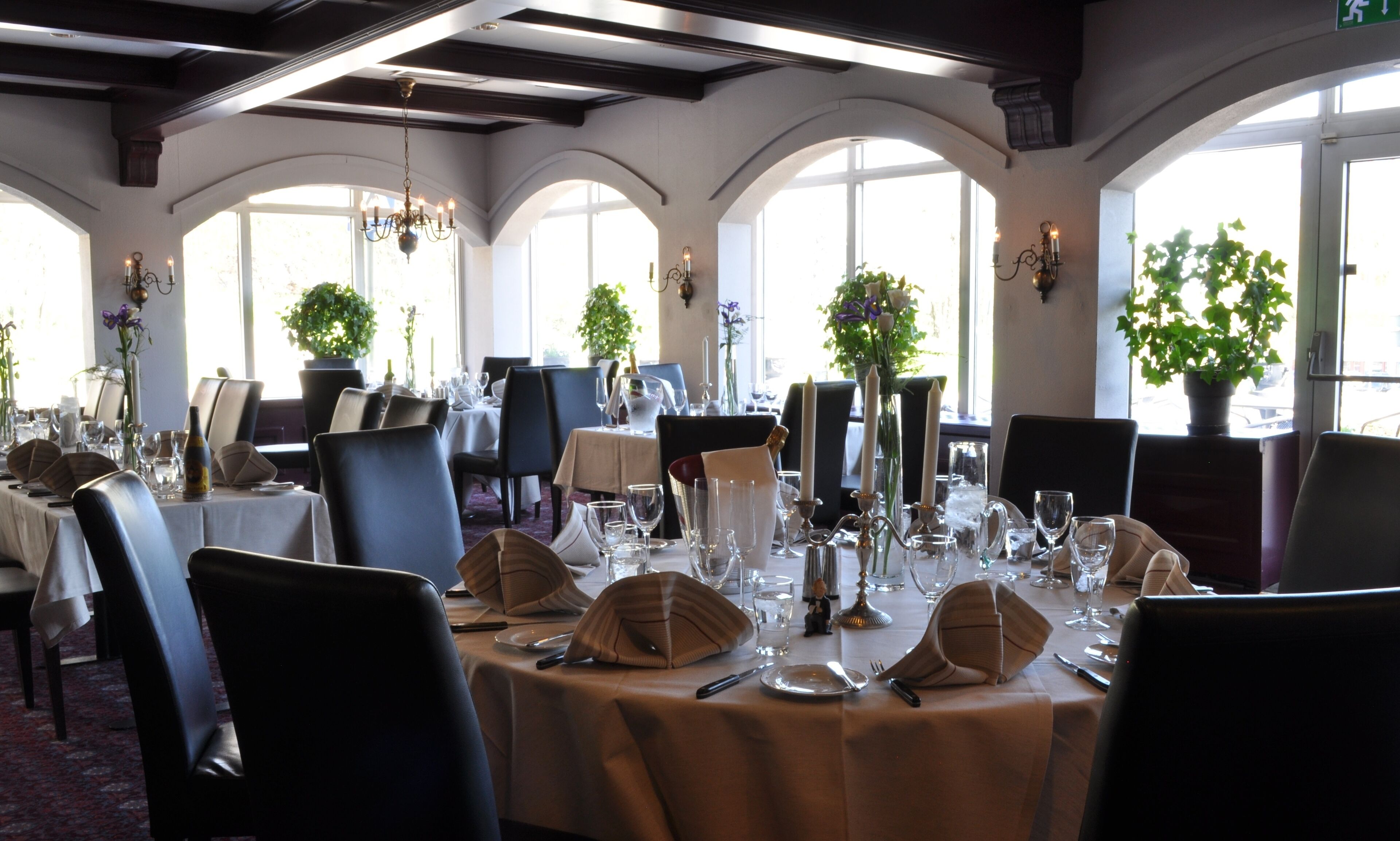 بوفيه فطور مجانًا يوميًا