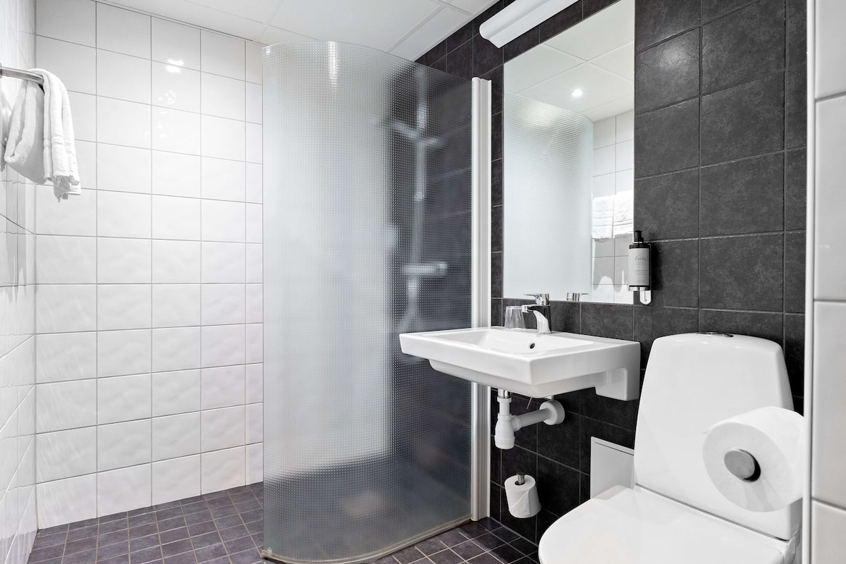 A modern bathroom with a glass shower enclosure, a white sink, and a toilet.