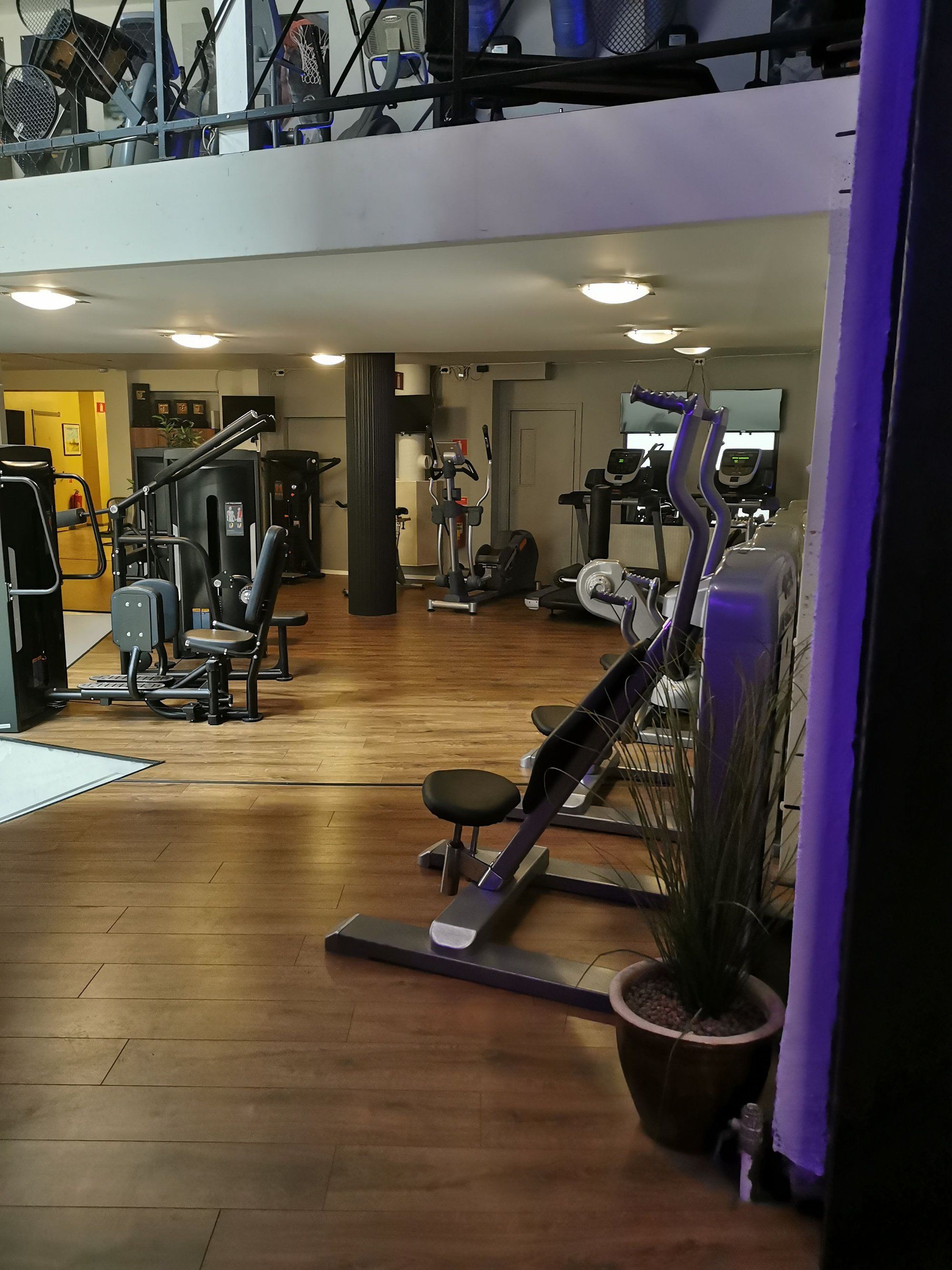 A gym with various exercise equipment, wooden flooring, and a potted plant.