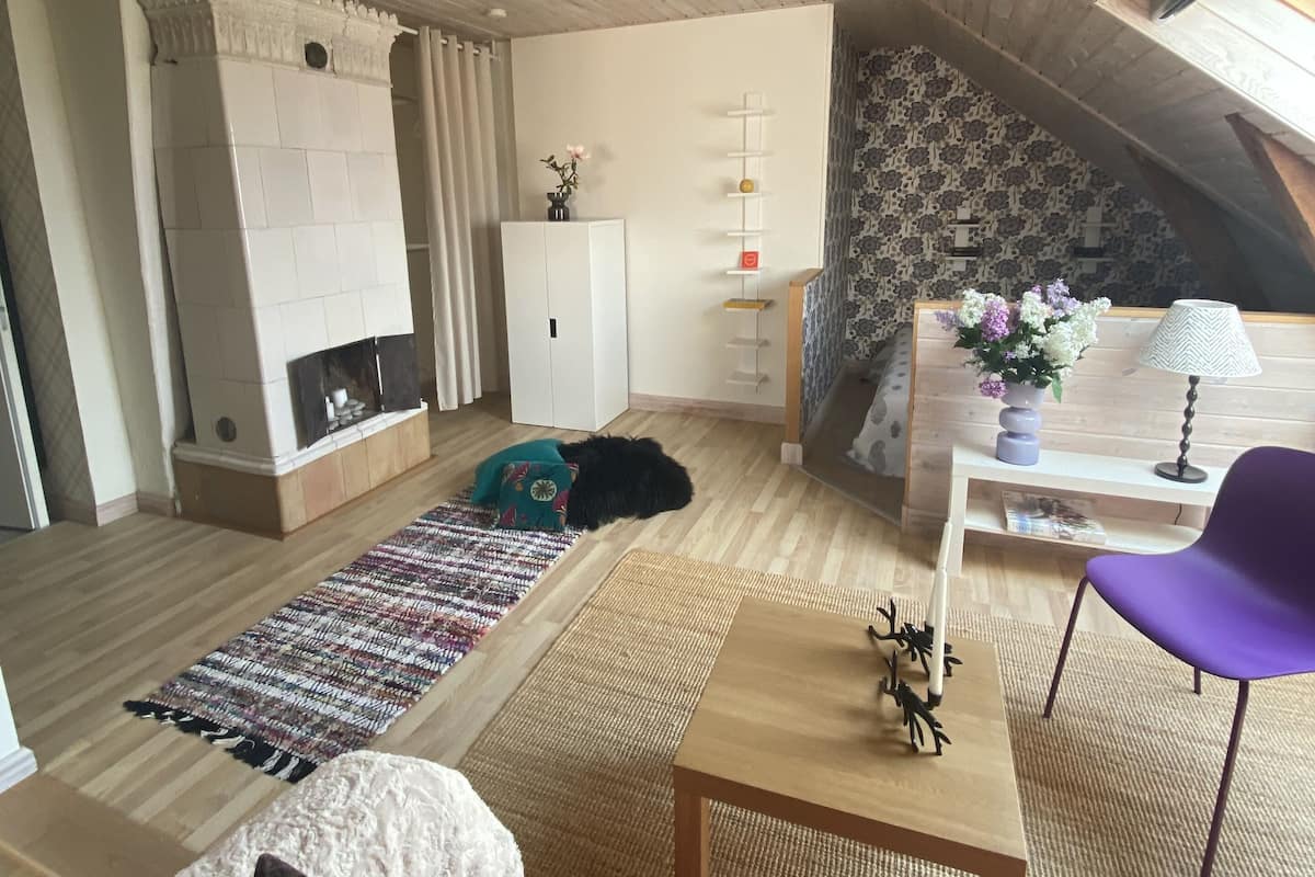 Loft Design, edificio separato | Minibar, ferro/asse da stiro, Wi-Fi gratuito, lenzuola