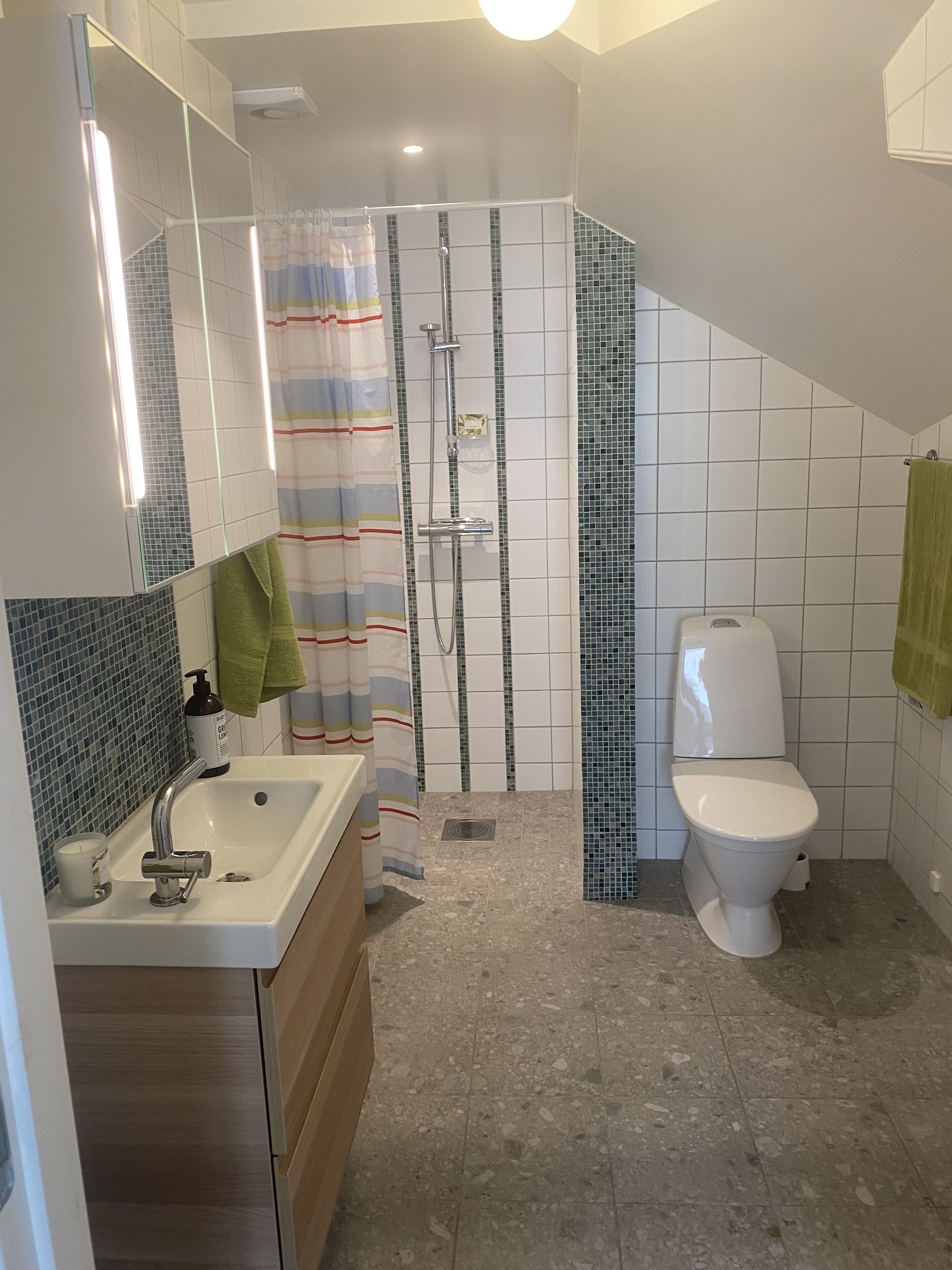 deluxe apartment, annex building | bathroom | shower, free toiletries, hair dryer, towels