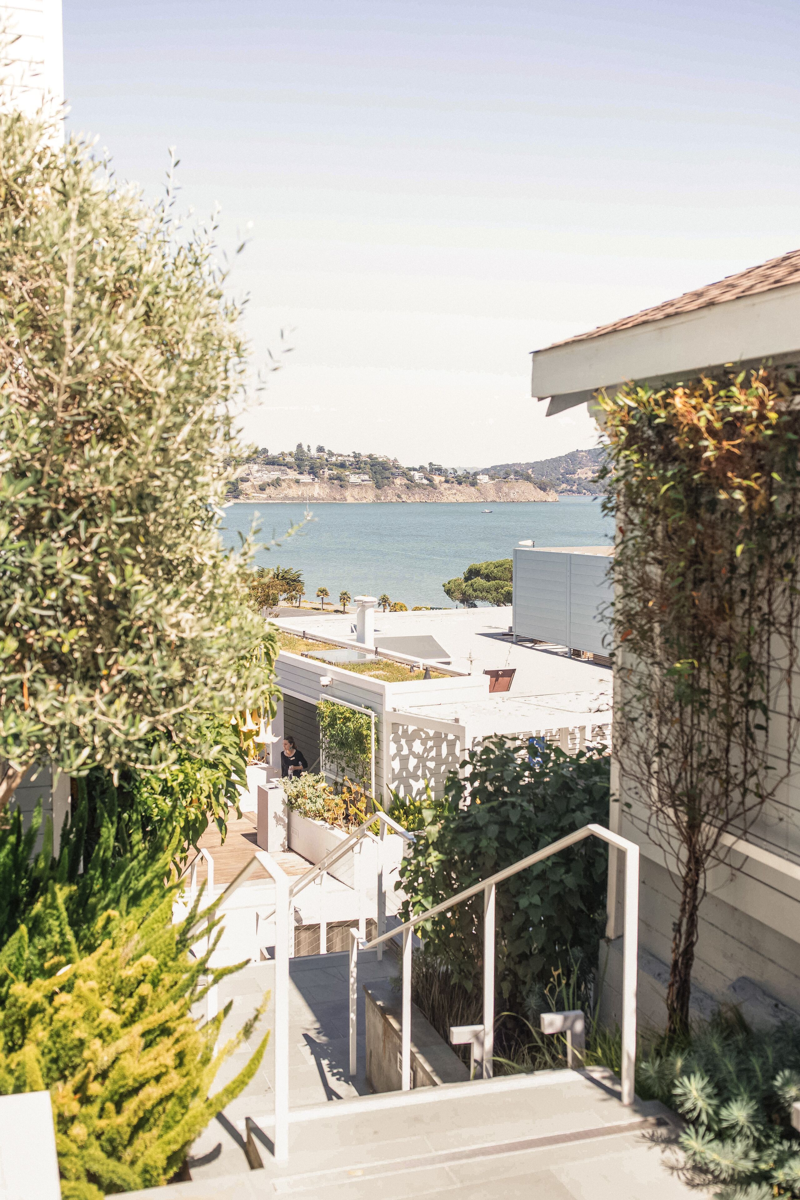 A residential area with a view of the sea, a staircase, and some greenery.