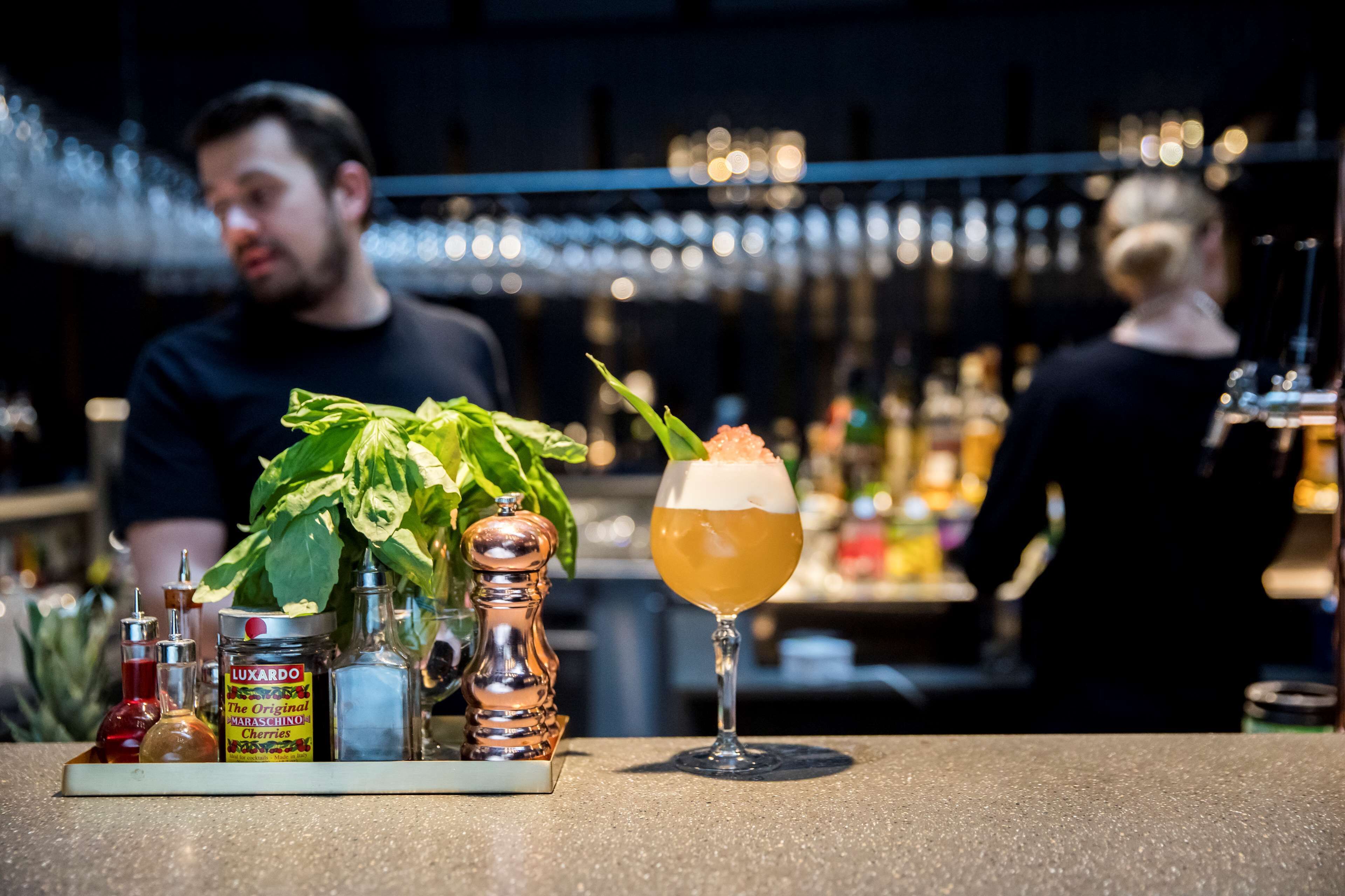 A bar setting with a drink, a plant, and various bottles on the counter.
