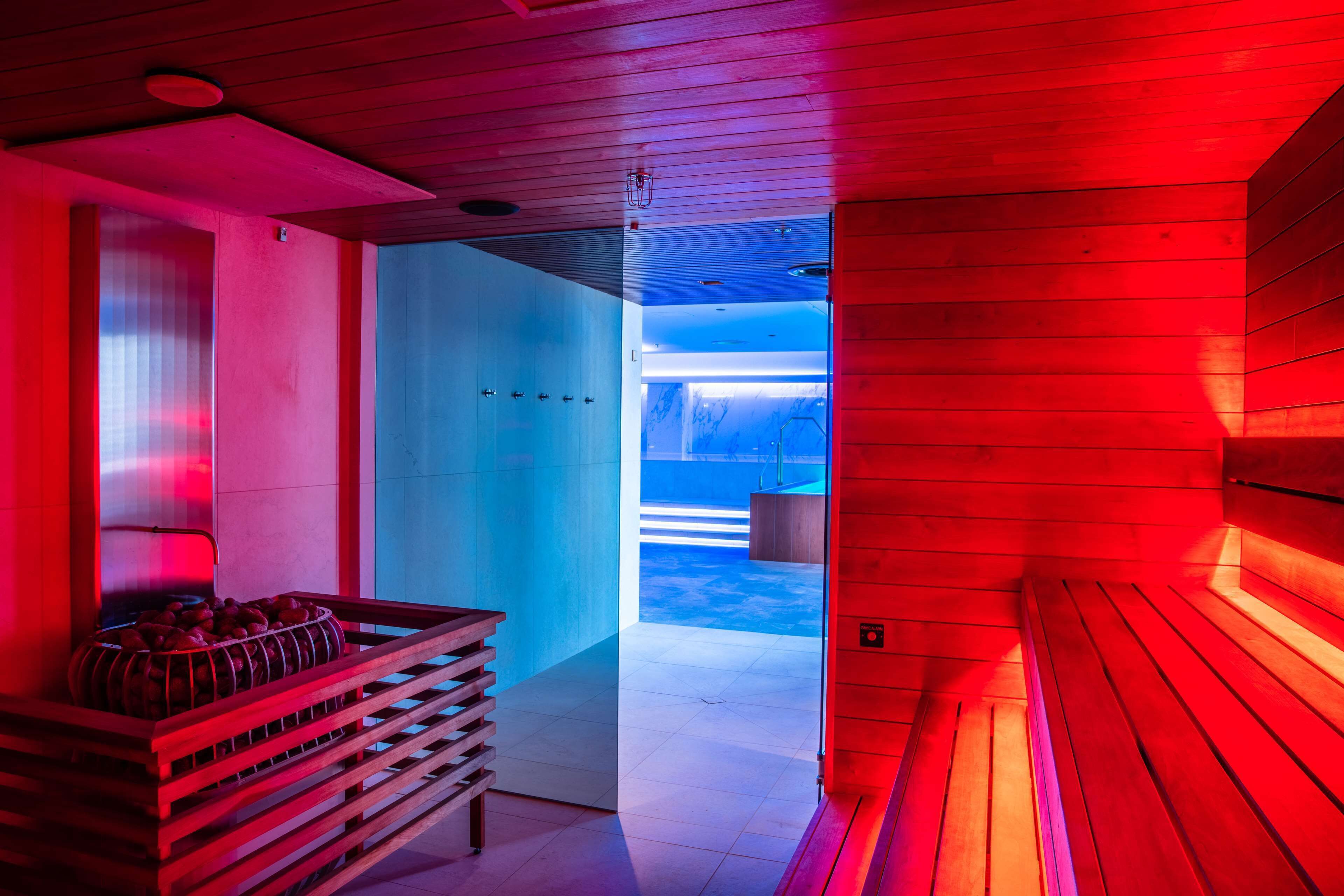 A sauna room with wooden benches and a bench with a basket of apples.