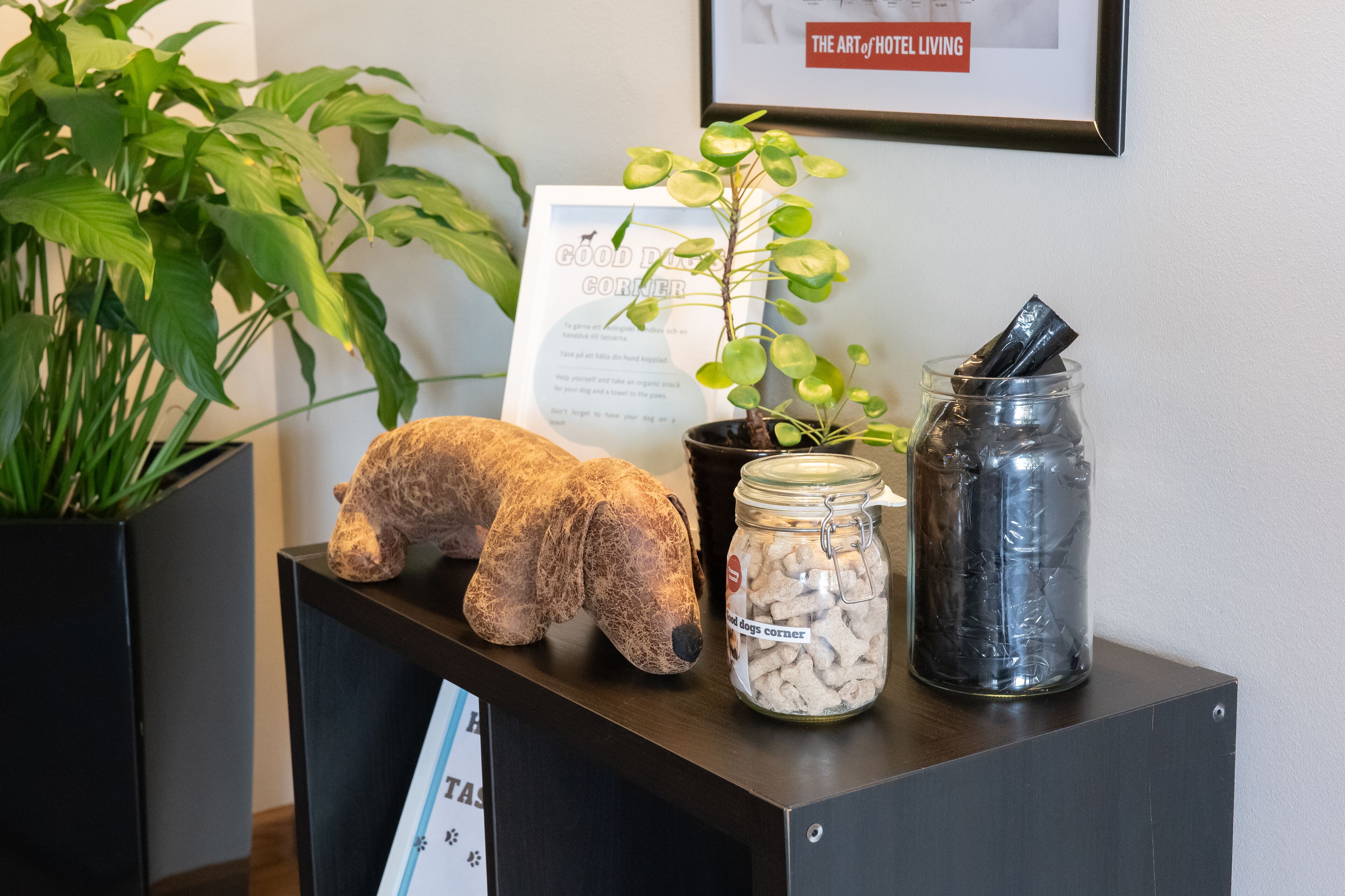 Foto - Good Morning+ Malmö