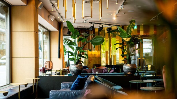 Ein modernes Interieur mit Sitzbereichen, Pflanzen und einer Bar.