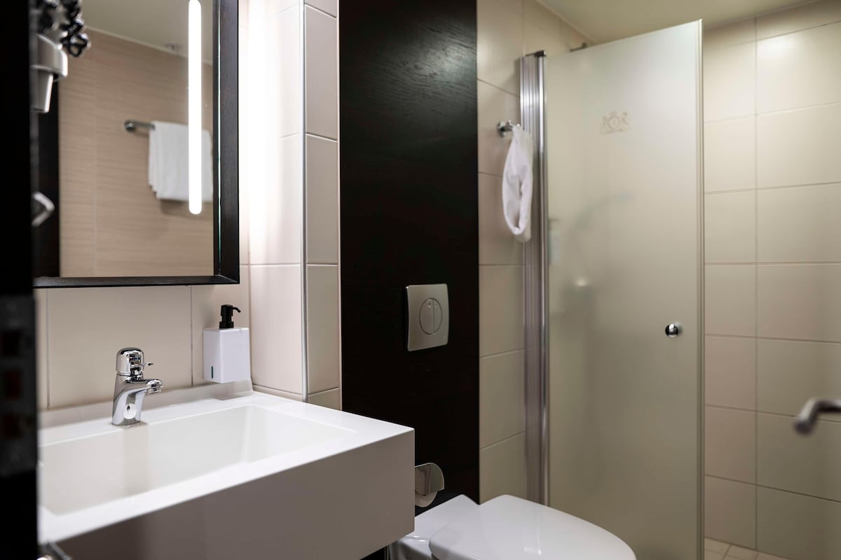 Een badkamer met een witte wastafel, een spiegel, een toilet en een douche.