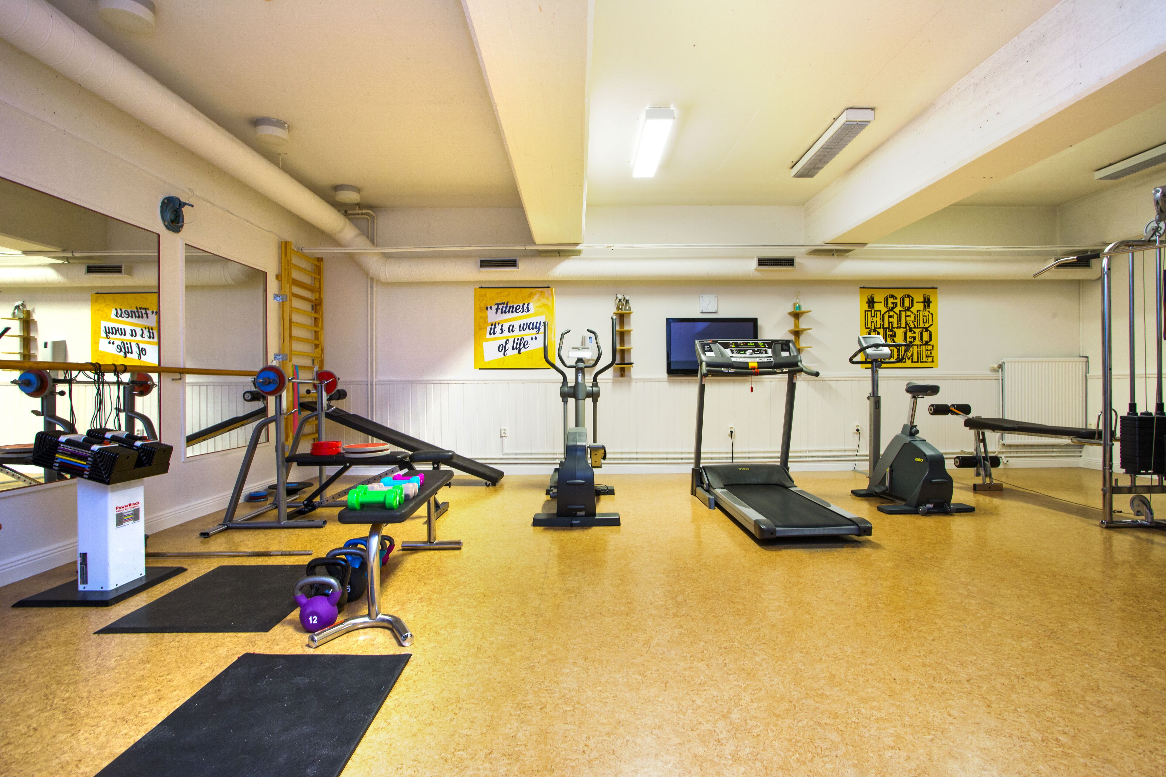 A gym with exercise equipment, a treadmill, and a weight bench.