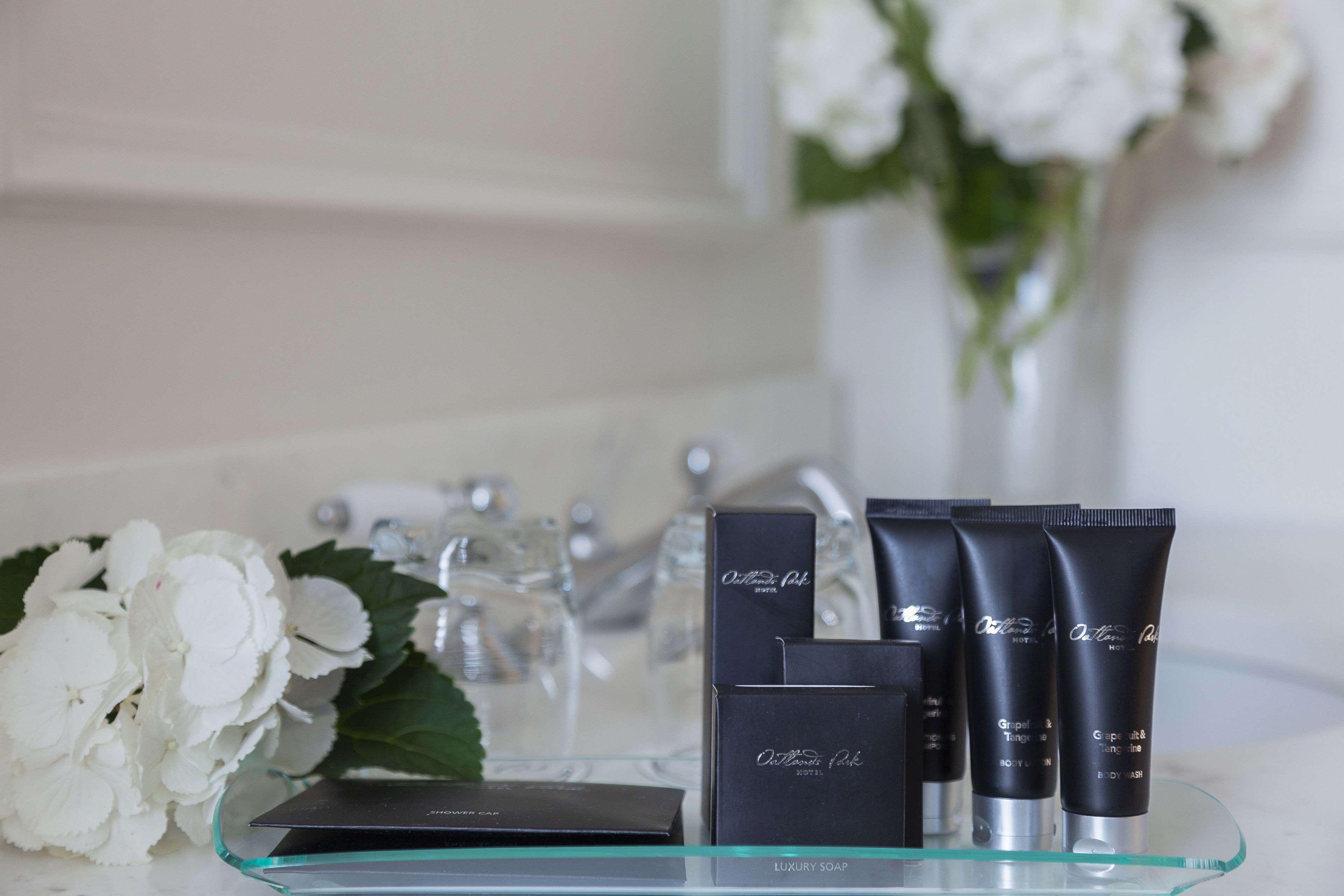 free toiletries, hair dryer, towels