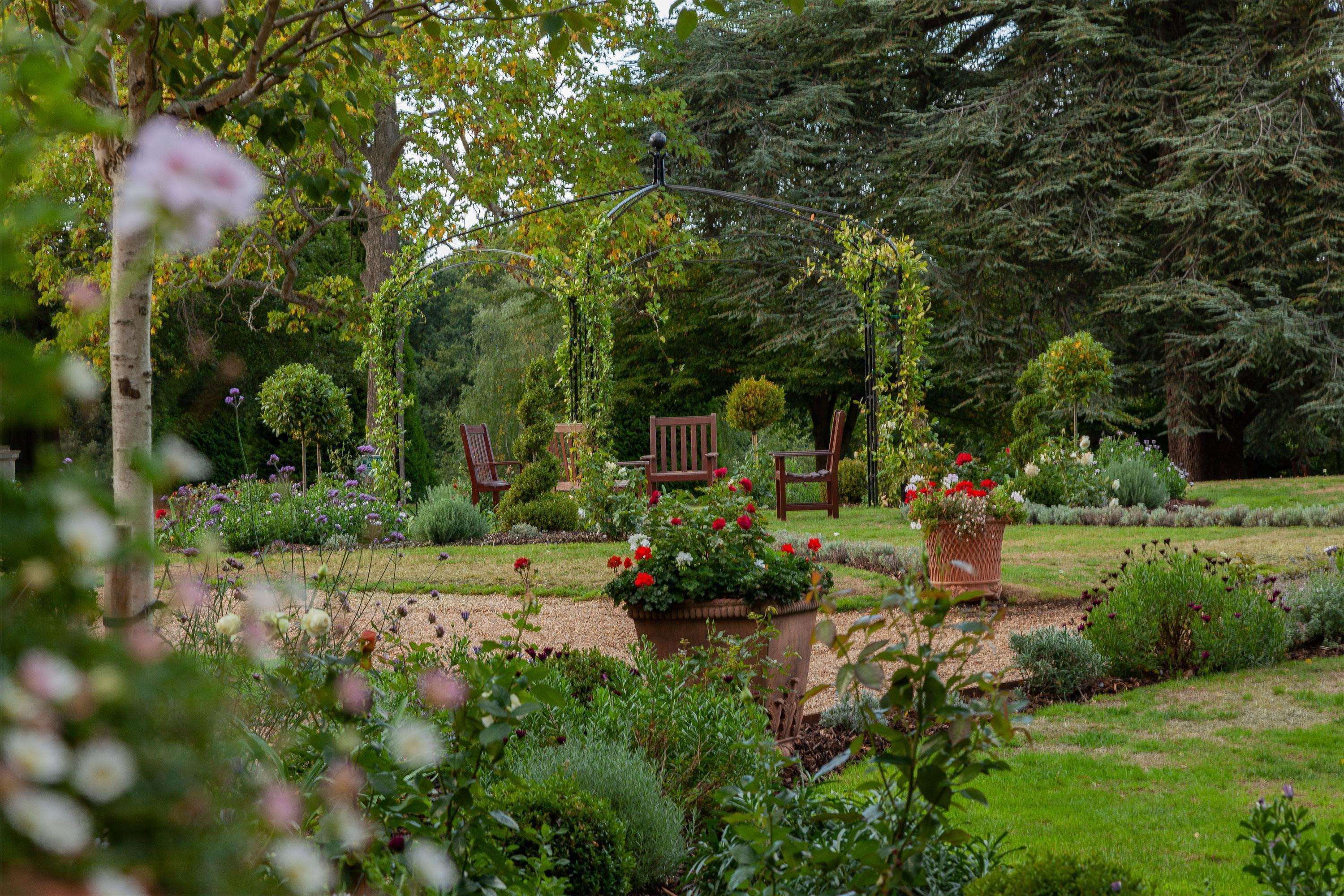 executive room, 1 king bed | garden view