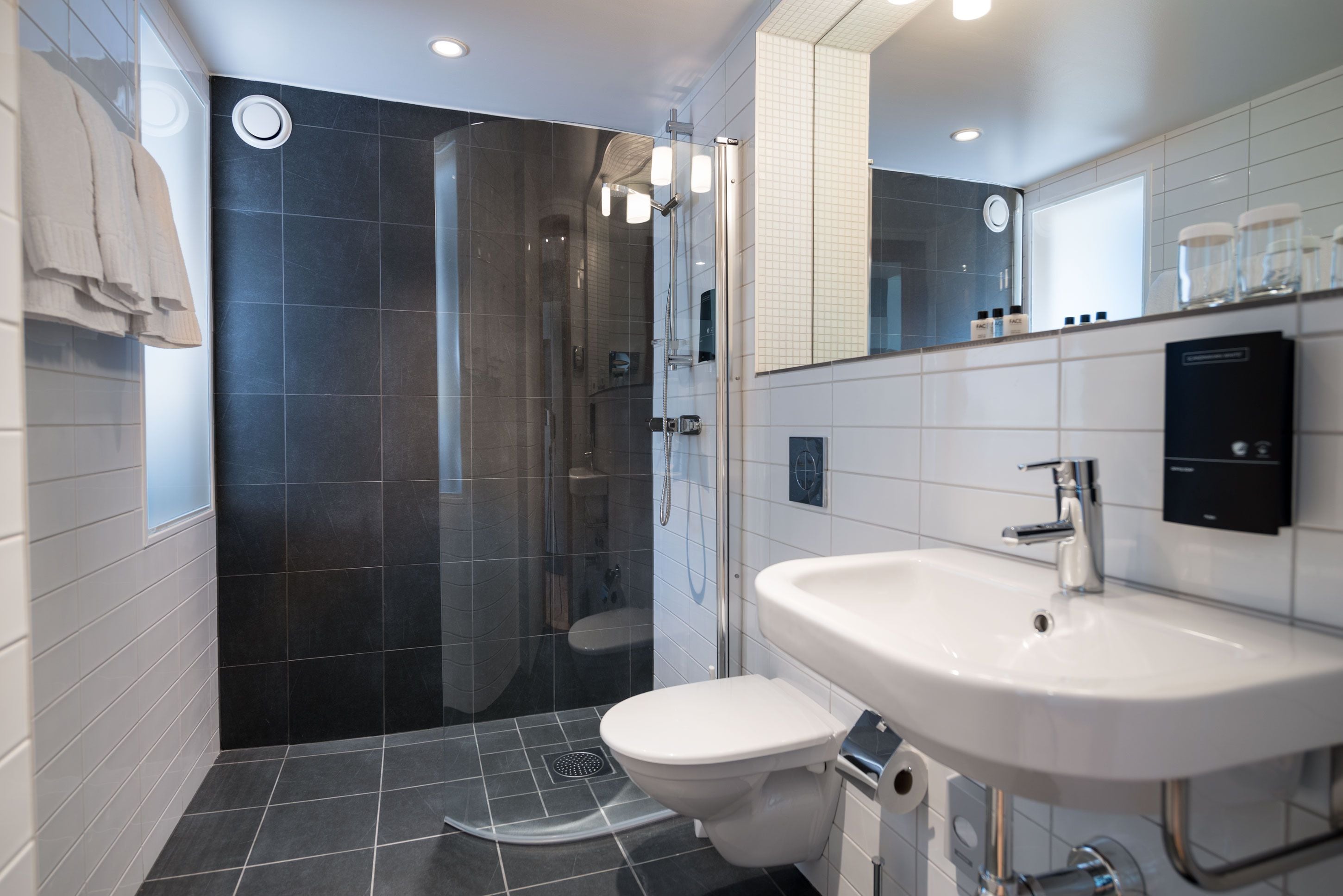 eco-friendly toiletries, hair dryer, towels, soap