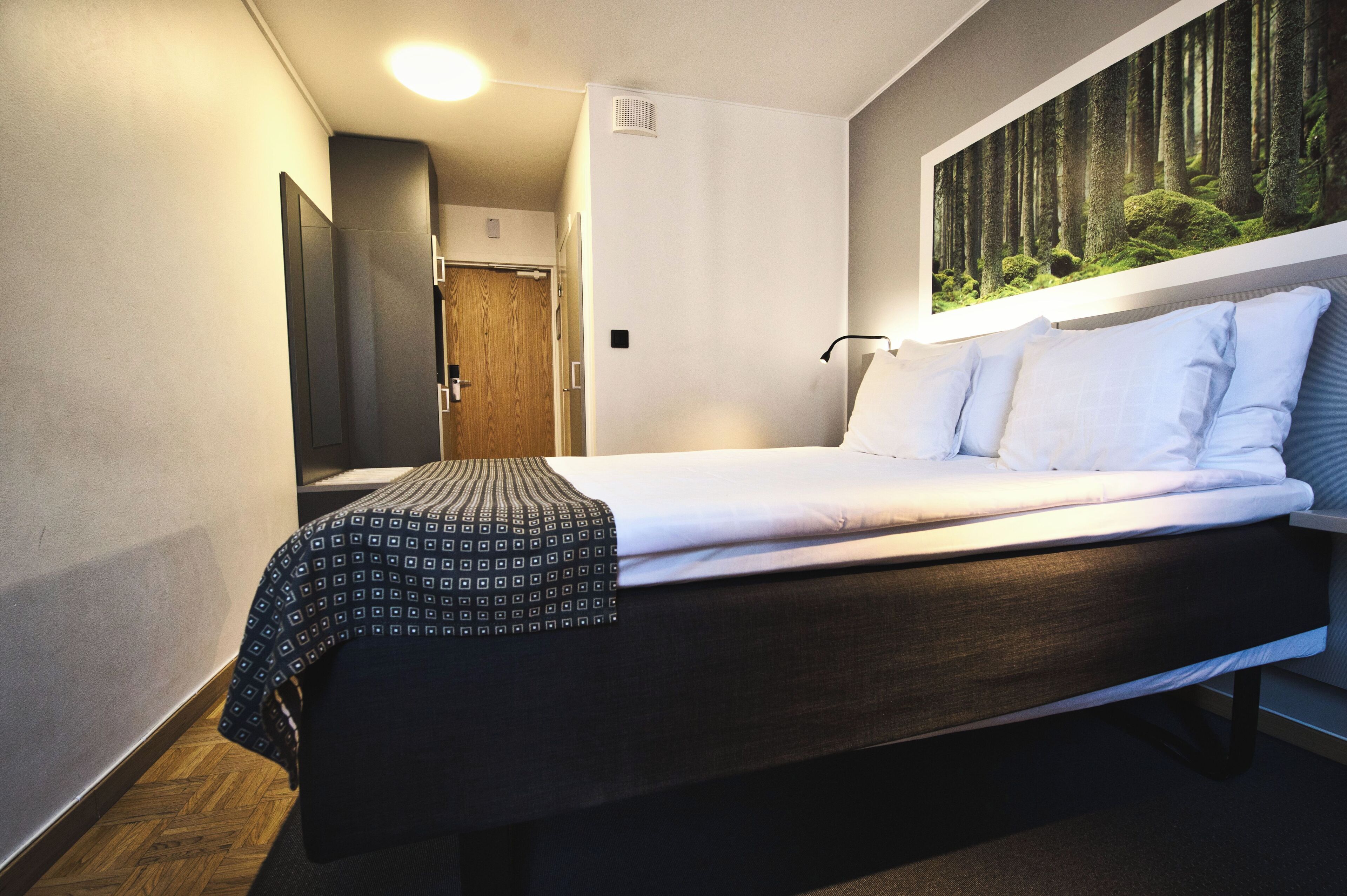 Une chambre d’hôtel moderne, équipée d’un lit, d’une tête de lit, d’un tableau représentant une forêt accroché au mur et d’une porte en bois.
