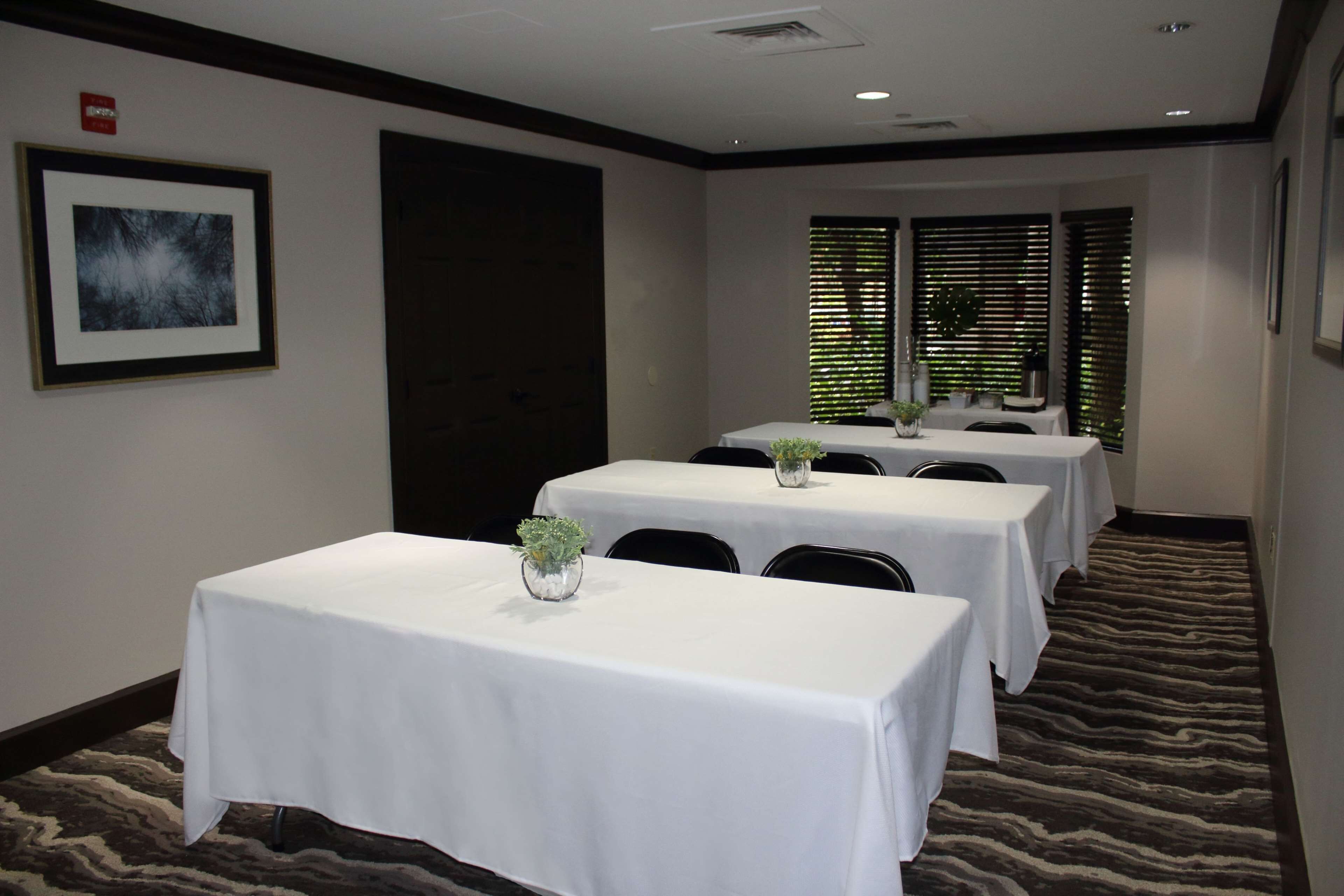 A conference room with three tables, each with a white tablecloth and a small plant. The room has a carpeted floor and a framed picture on the wall.
