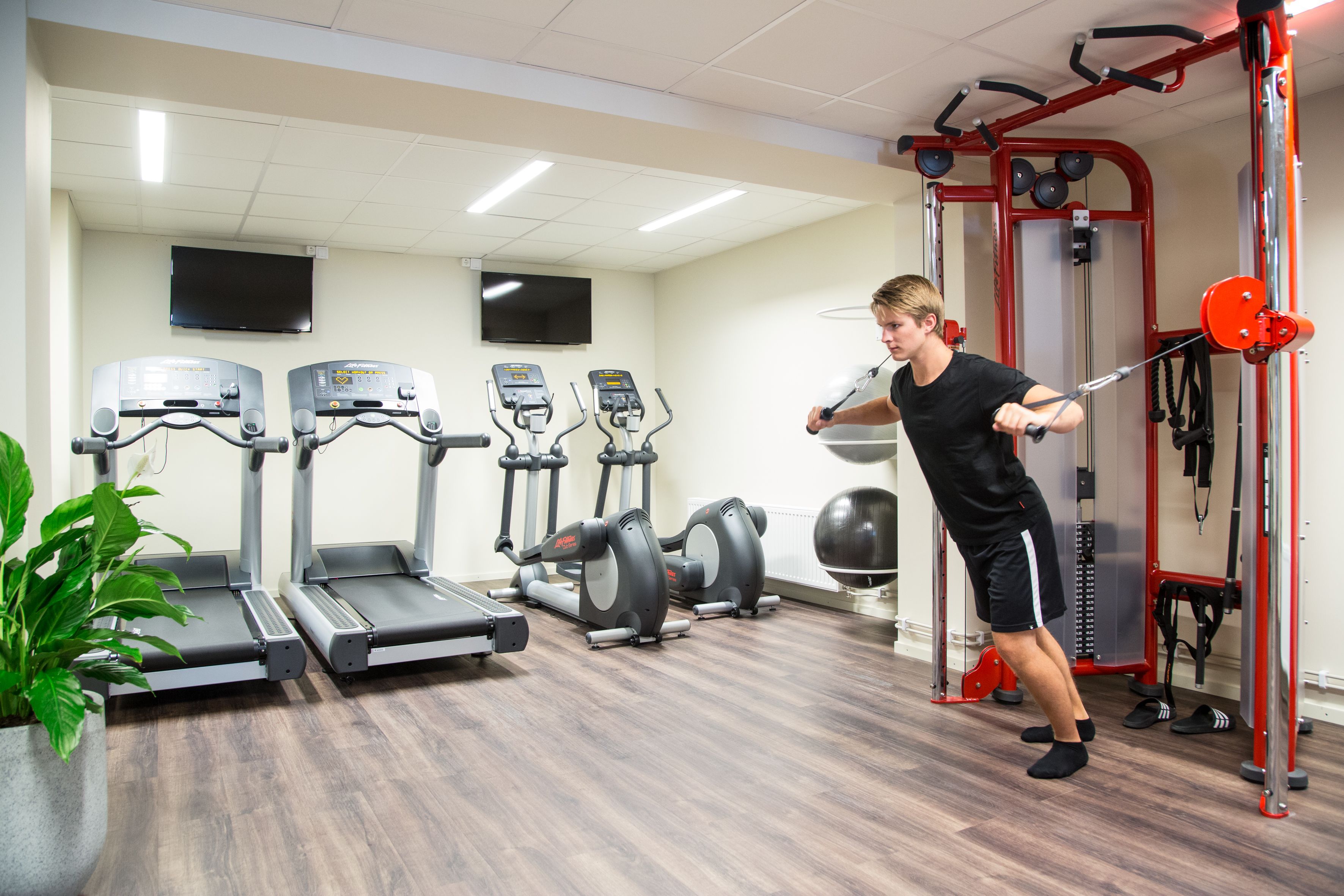A gym with treadmills, elliptical machines, and a weightlifting station.
